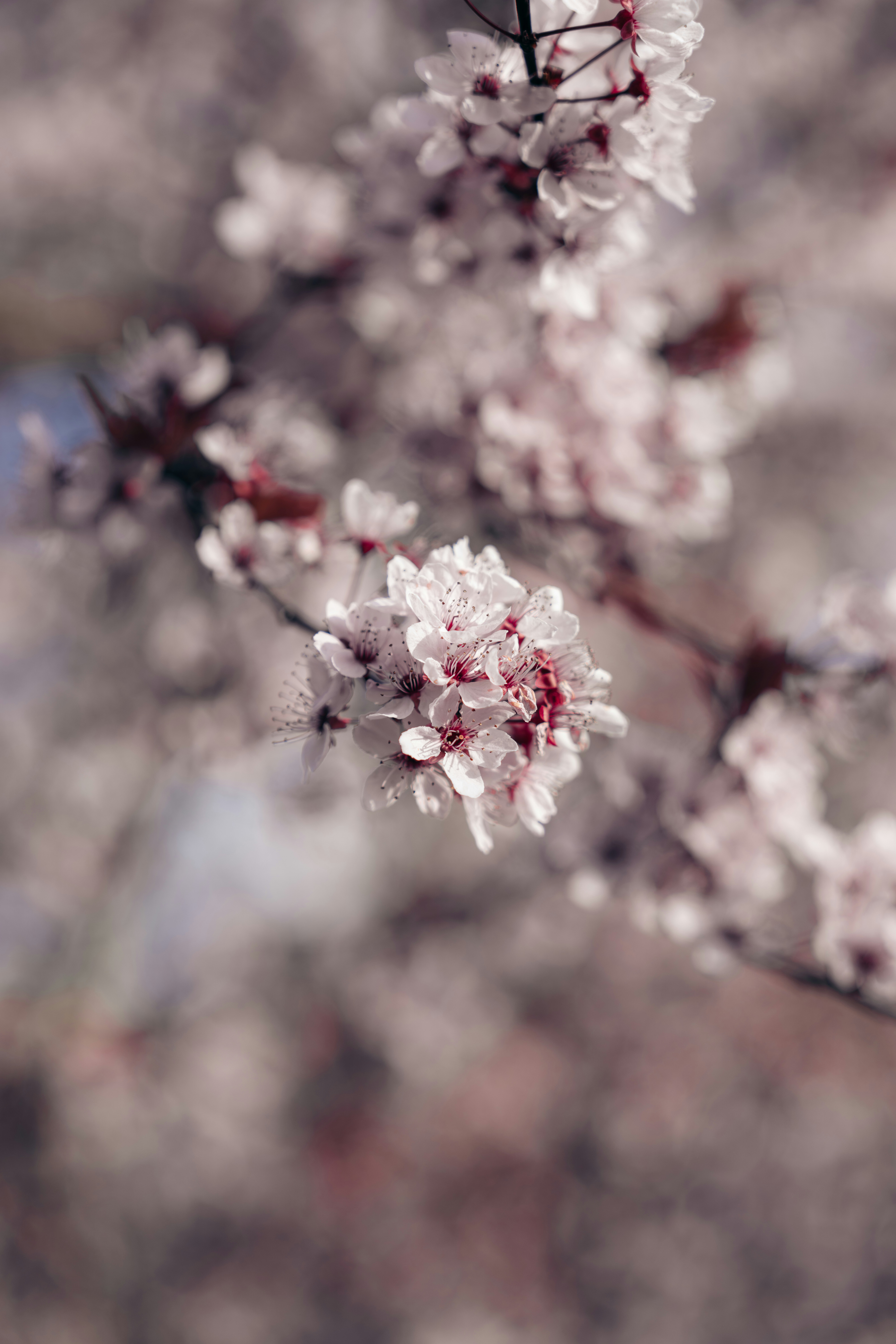 Photo by liviaphotographs