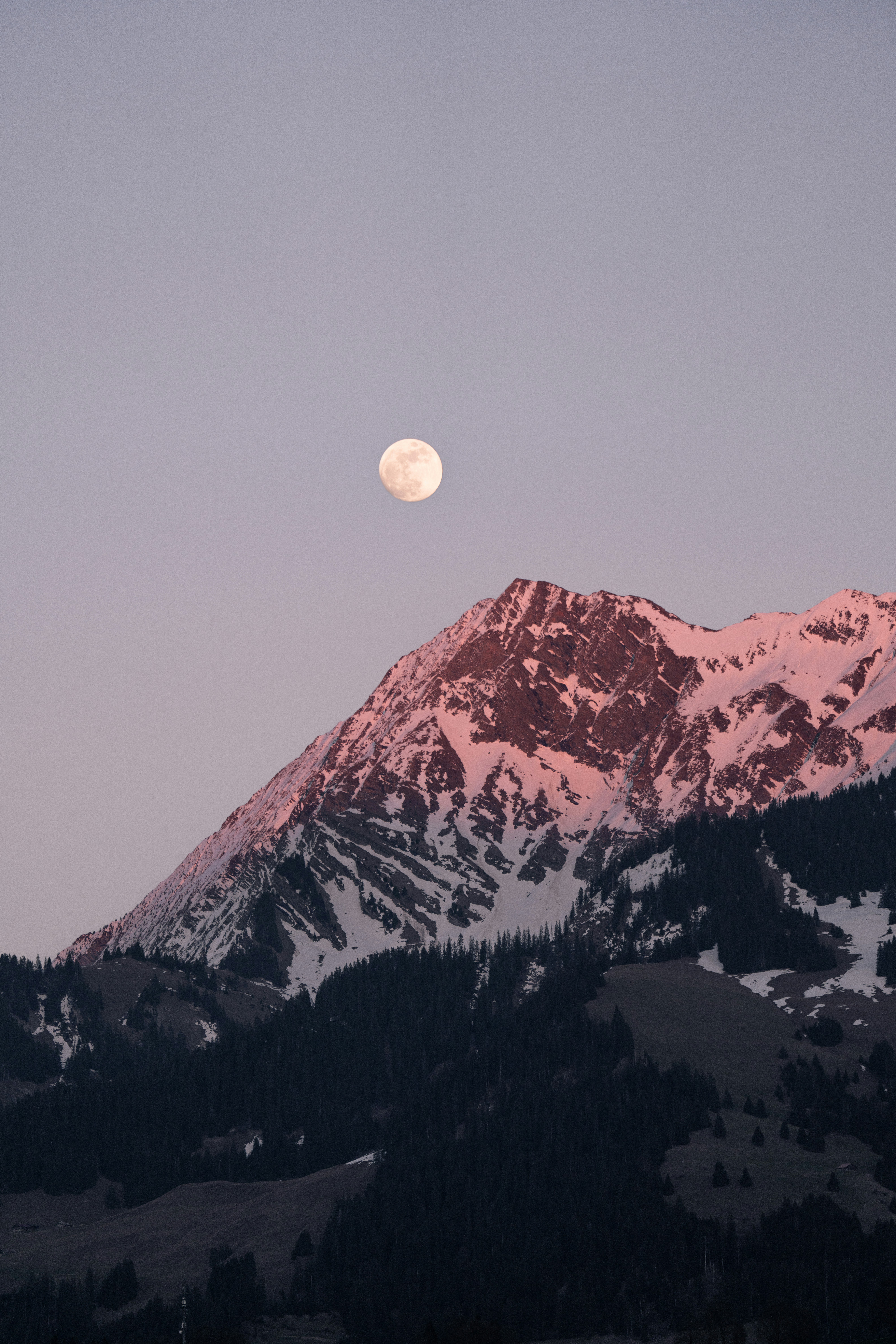 Photo by liviaphotographs