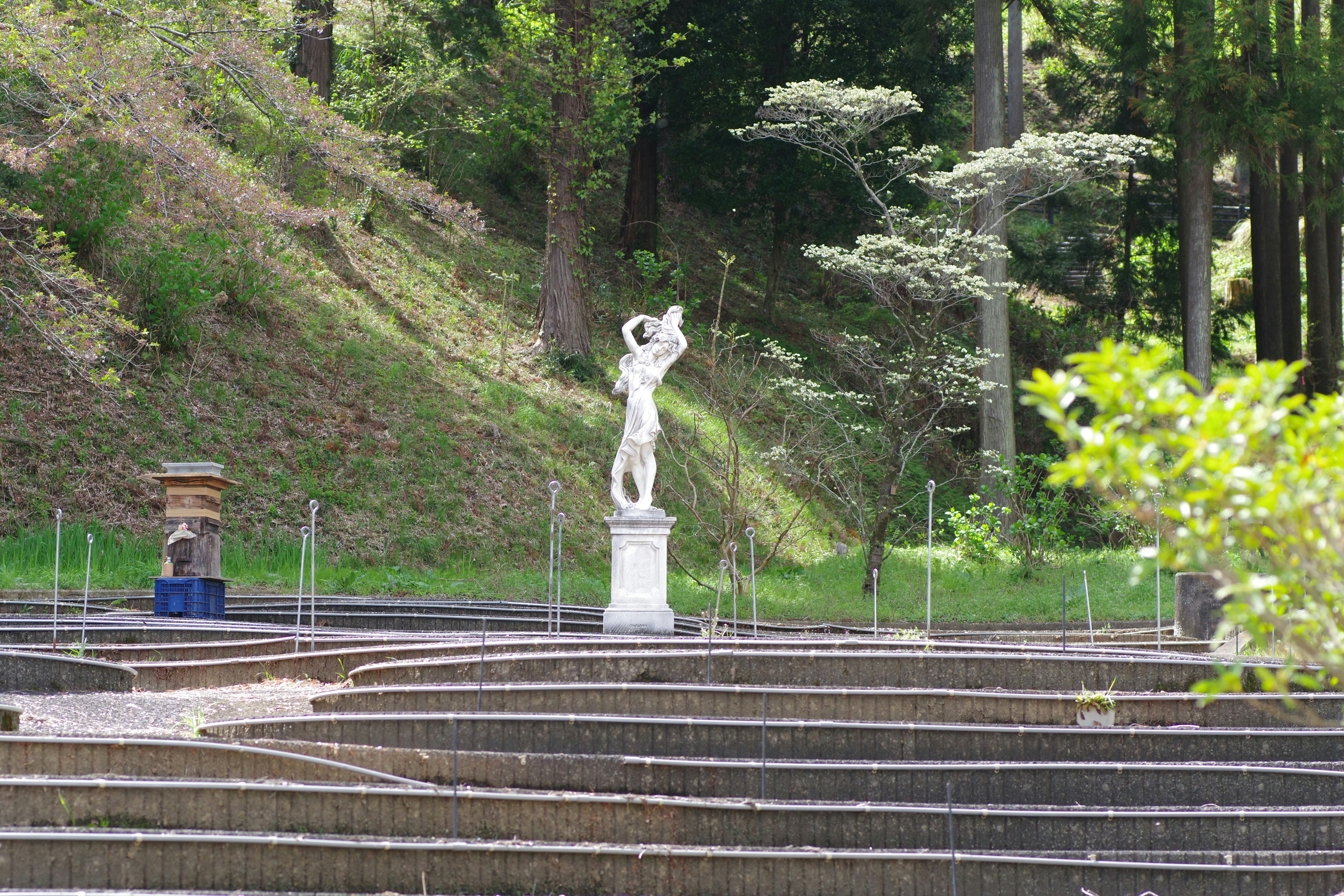 A white statue sits by tiered steps in a garden.