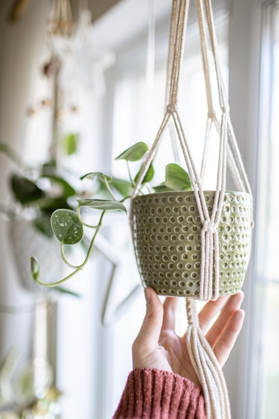 Soporte para plantas elaborado con técnicas de macramé