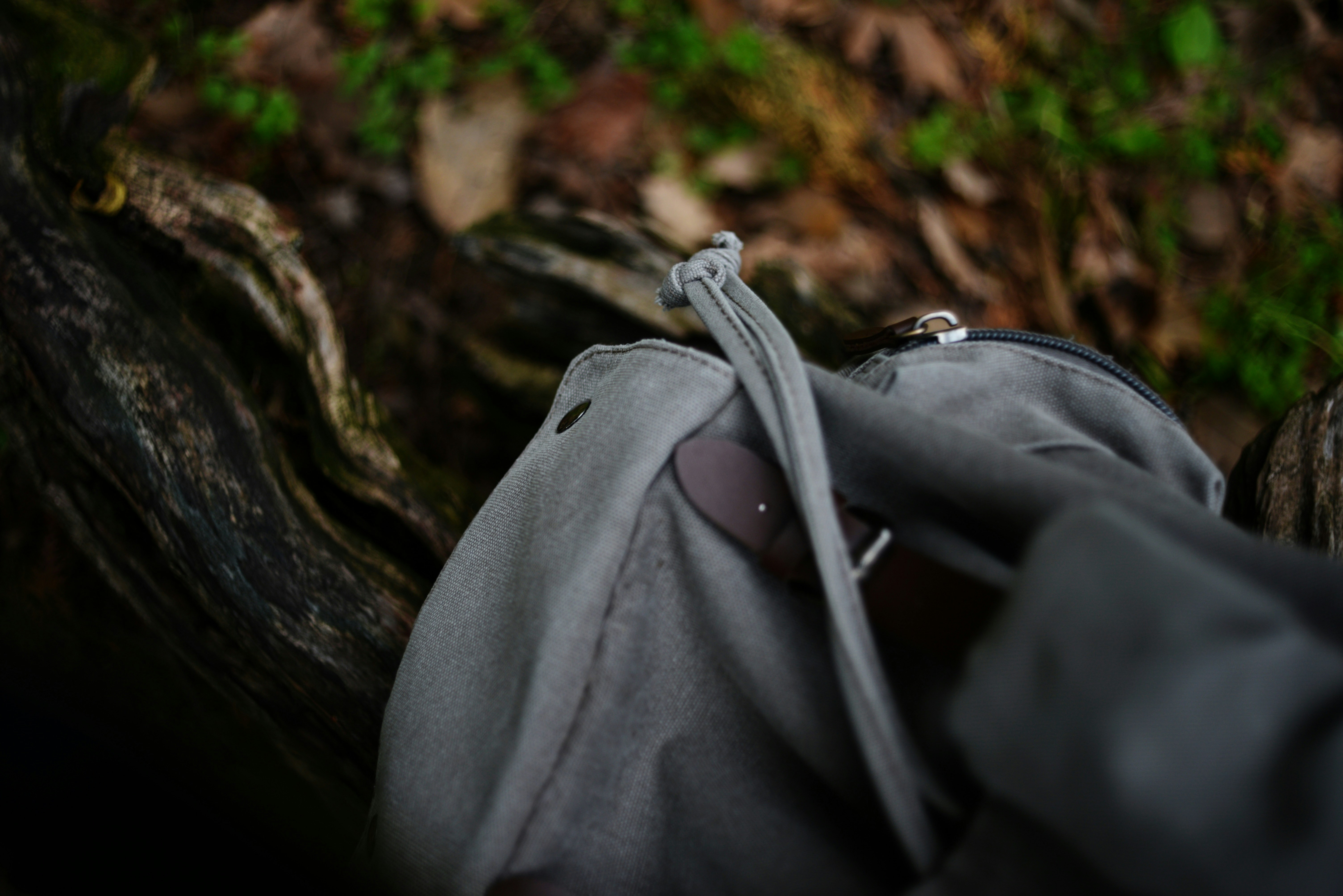 photo 1744615459225 a1319acc630c?crop=entropy&cs=tinysrgb&fit=max&fm=jpg&ixid=M3w1MjQ0NjR8MHwxfHNlYXJjaHwxNHx8SHVudGluZyUyMGJvd3xlbnwwfDB8fHwxNzUxNzQ0MDg1fDA&ixlib=rb 4.1