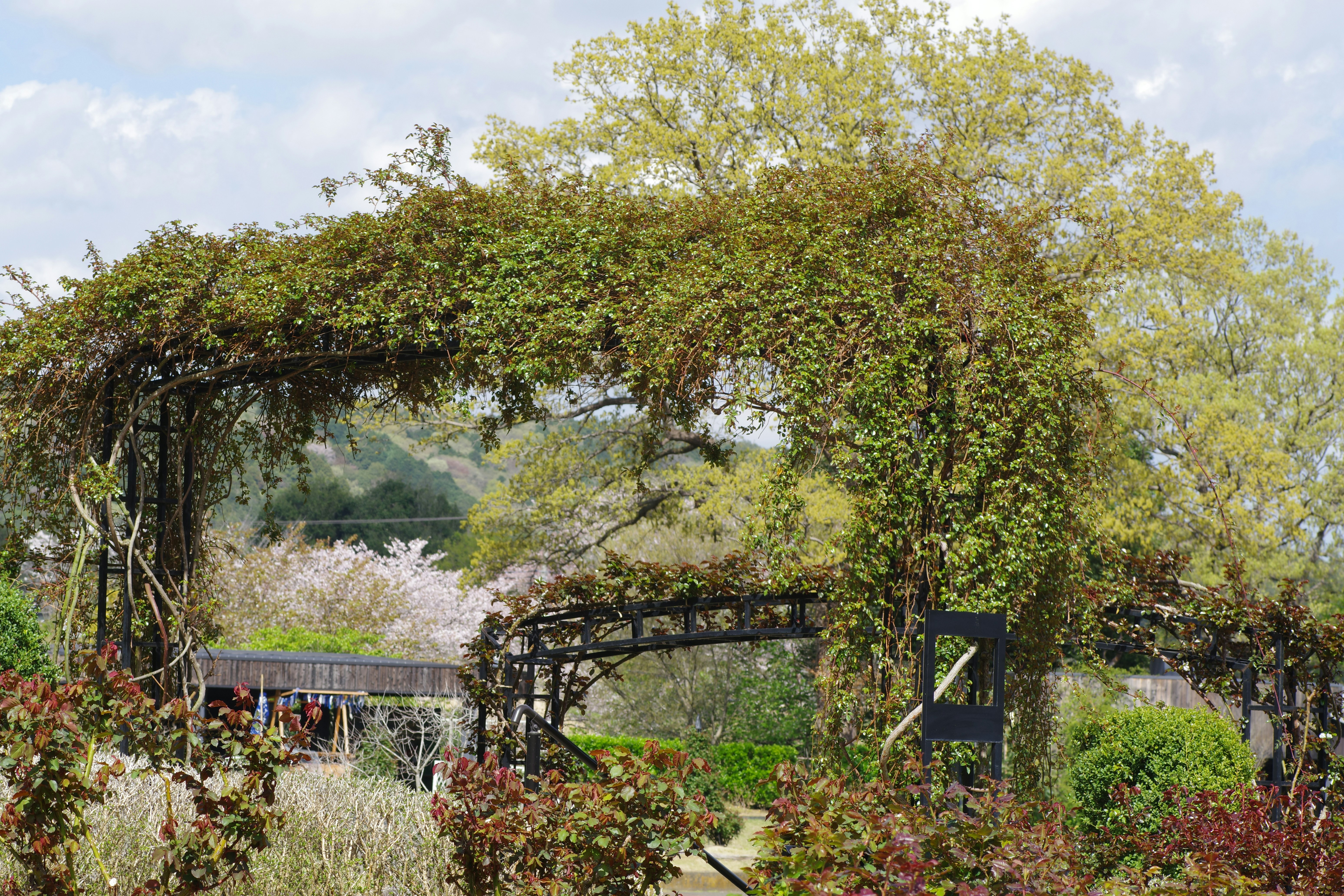 媽呀！居家清潔神器根本黑科技，懶人救星就是它！