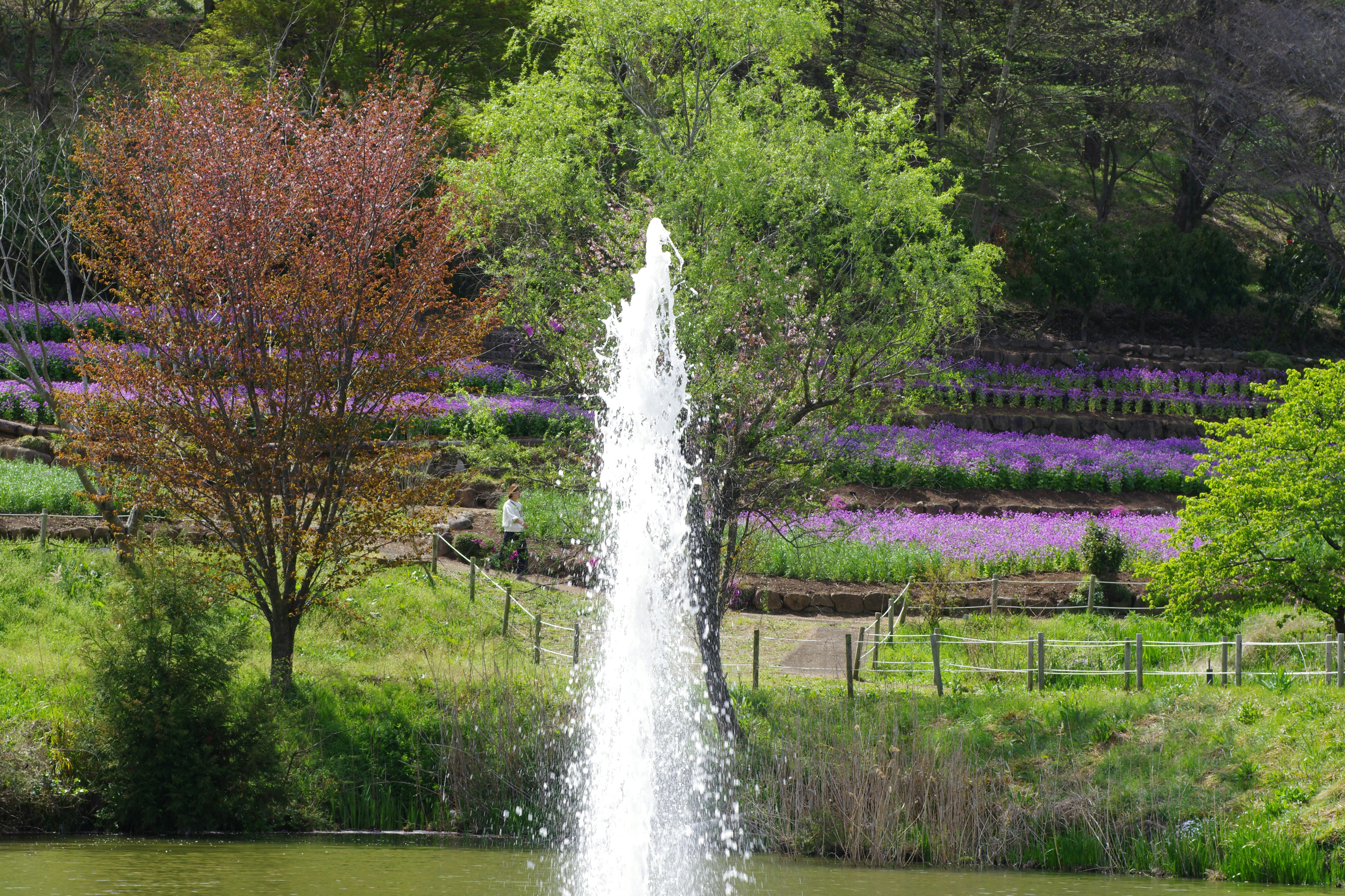 Fountain Grove, Missouri