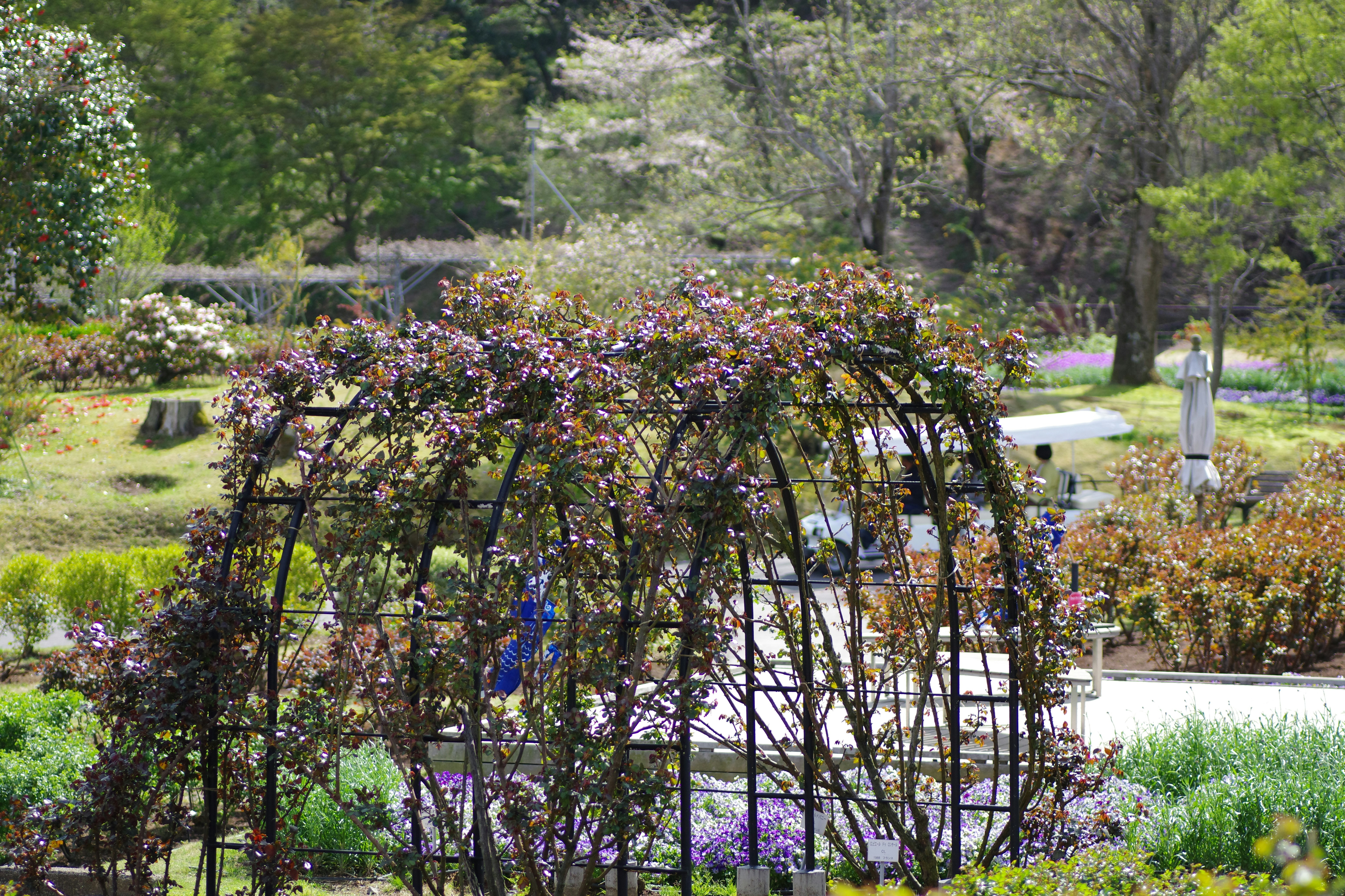 以下列出3個誇張吸睛的標題，符合您的所有要求：