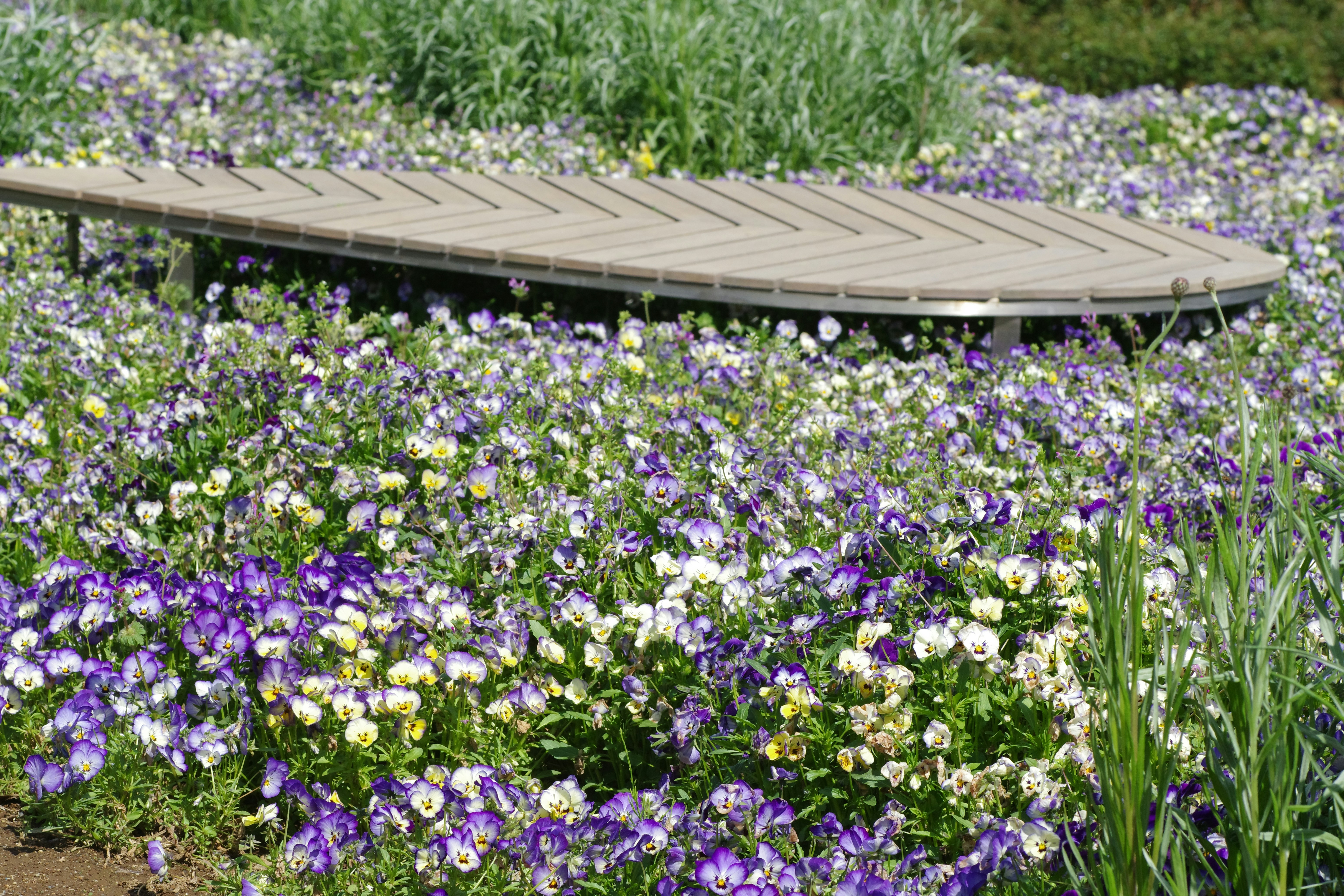Beautiful green and flower garden、新緑と美しい花が織りなす絶景 A superb view of fresh greenery and beautiful flowers