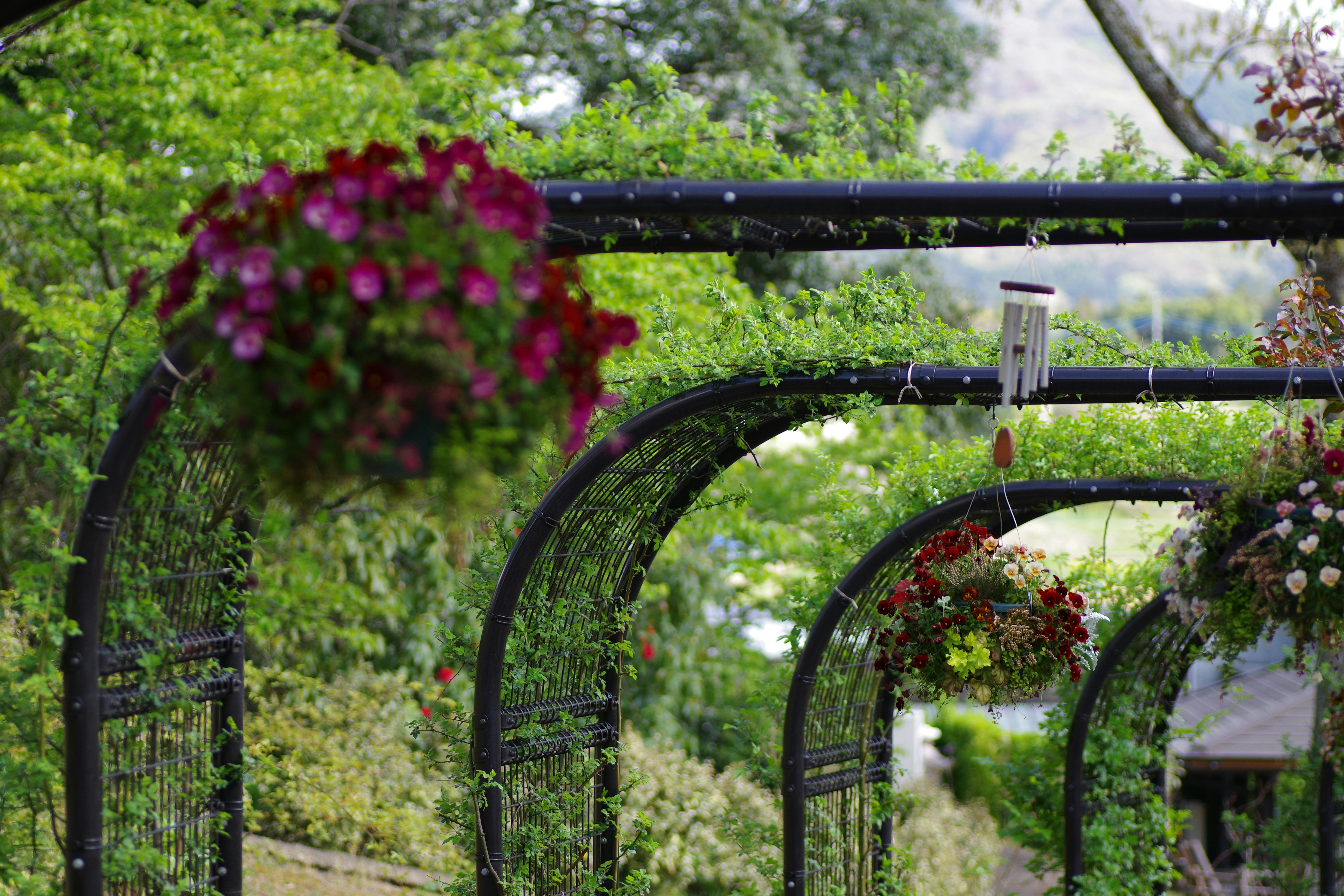 媽啊！這樣做家裡蟑螂全消失，阿嬤祖傳秘方公開！