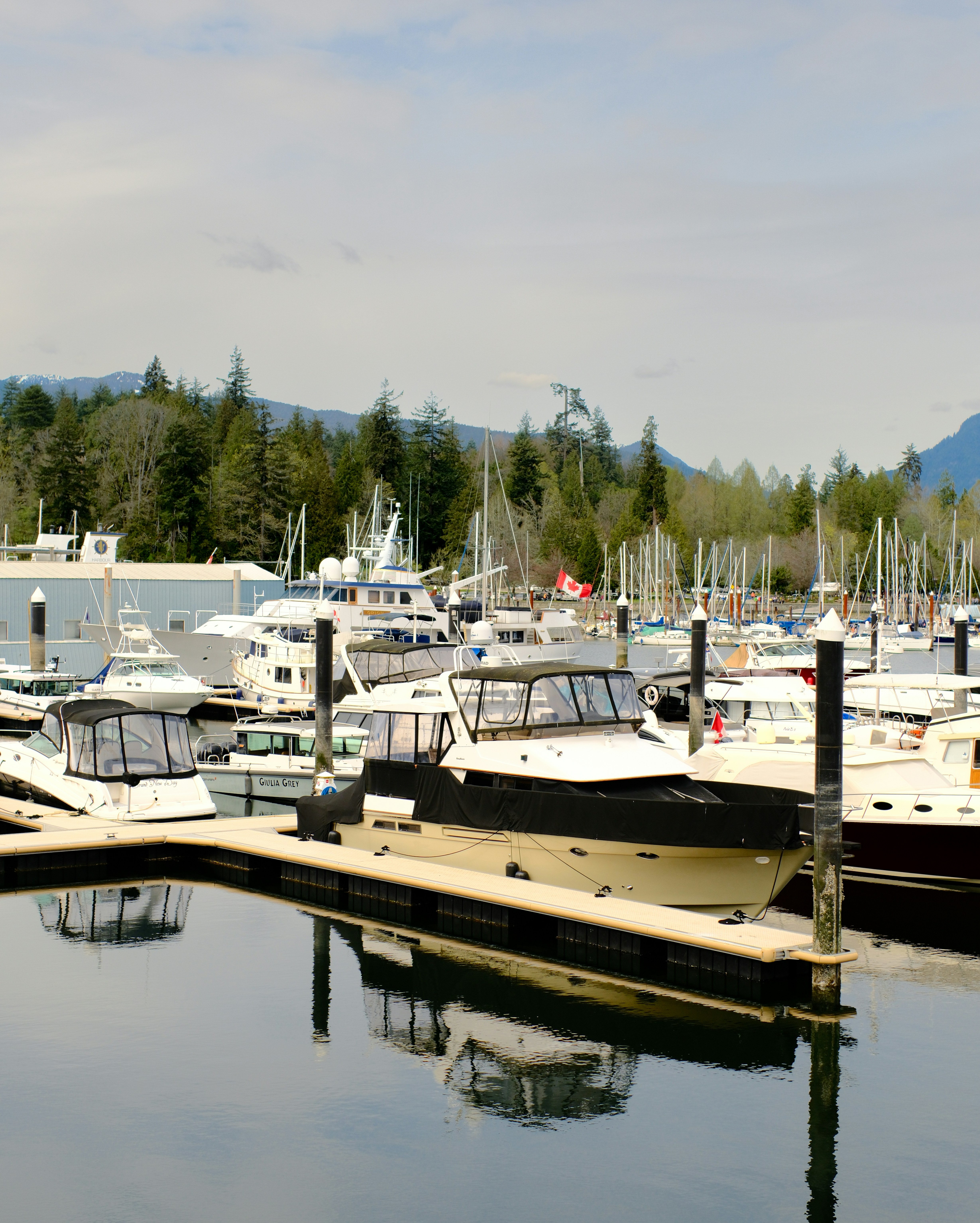 Photo by farnaz________