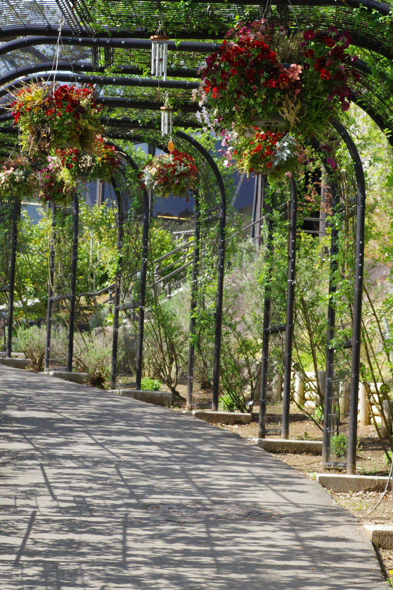 The walled garden path