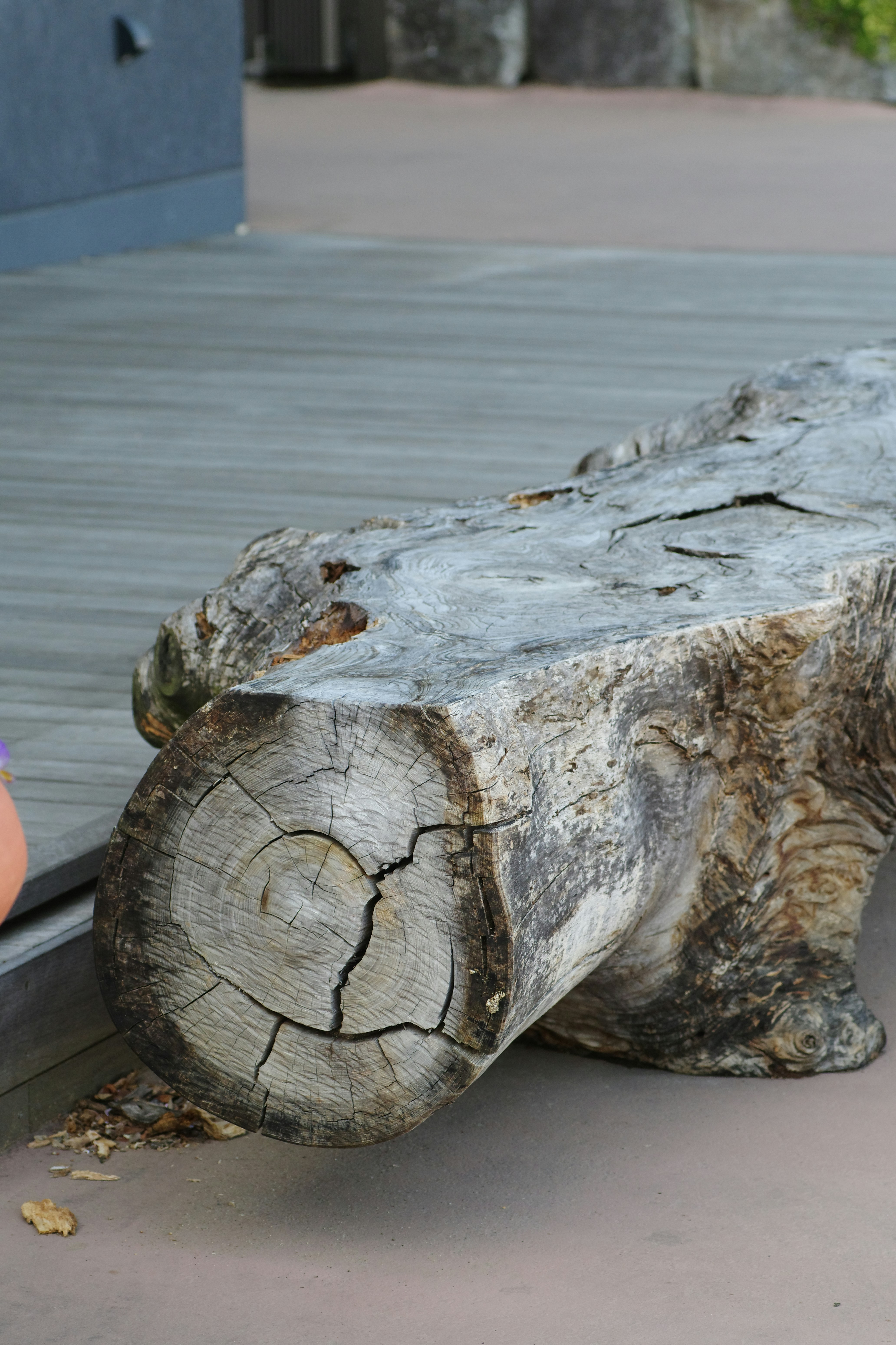 Beautiful green and flower garden、新緑と美しい花が織りなす絶景 A superb view of fresh greenery and beautiful flowers