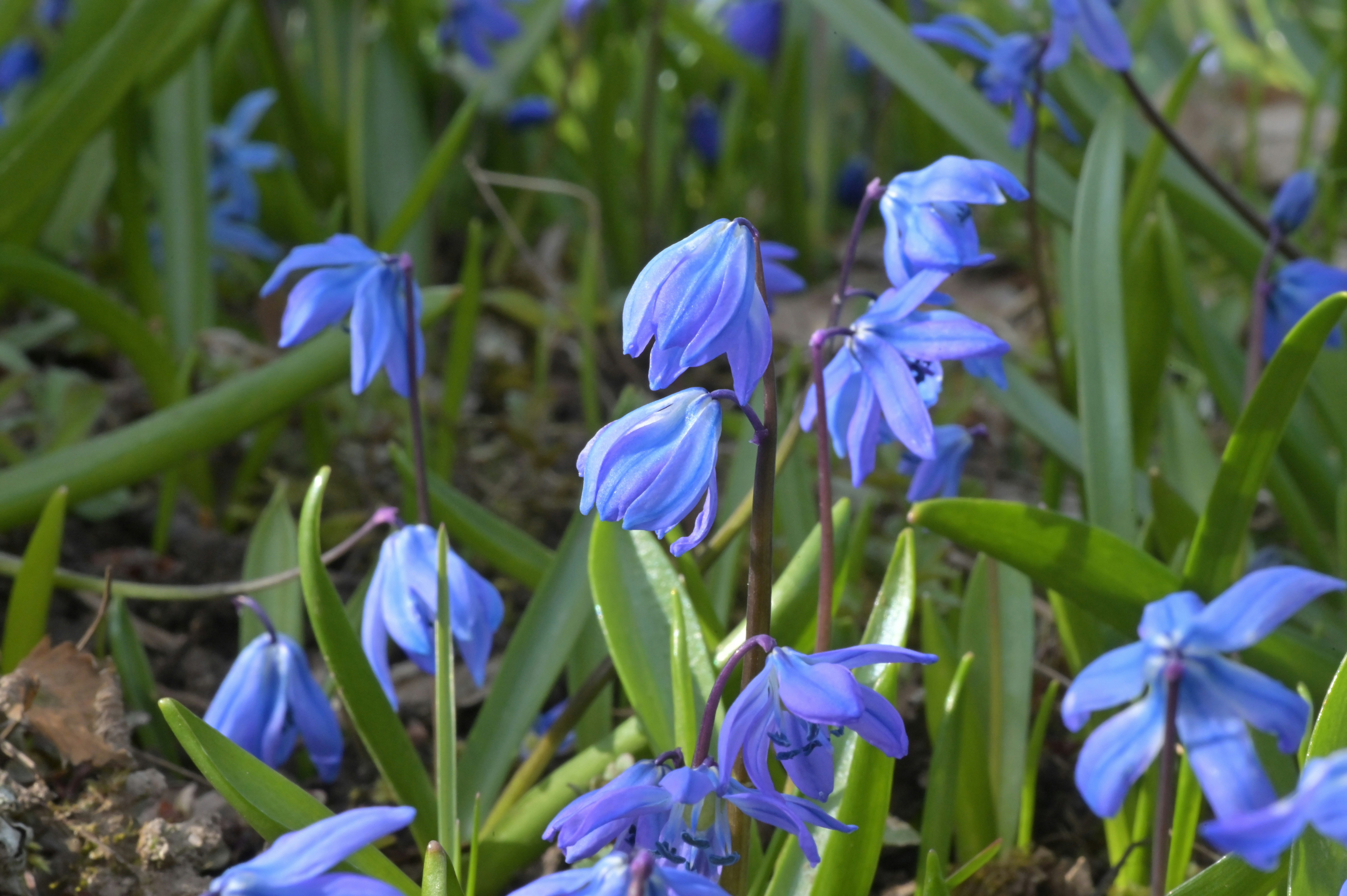 Photo by johnmcclane