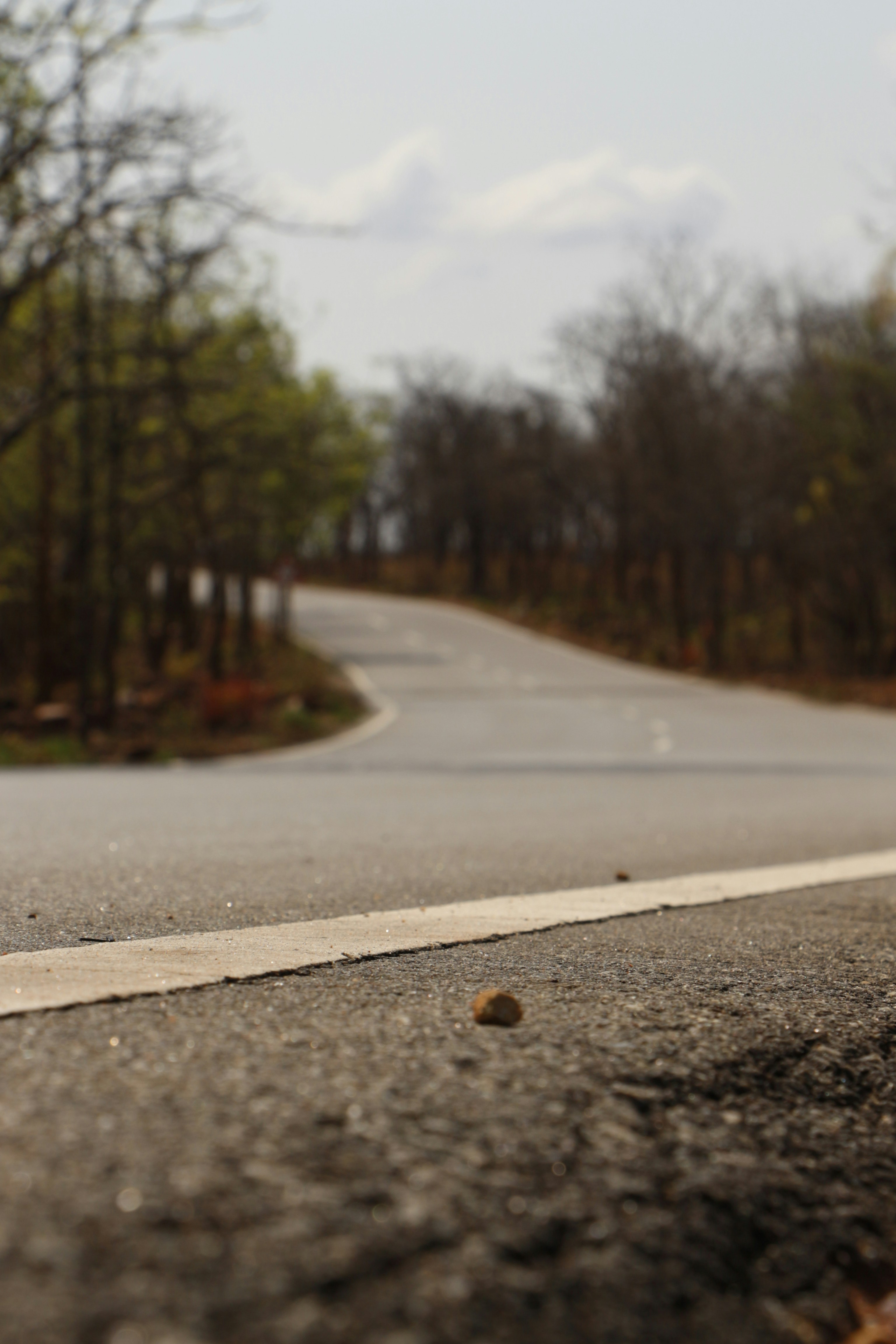 Photo by shutterbug_5741