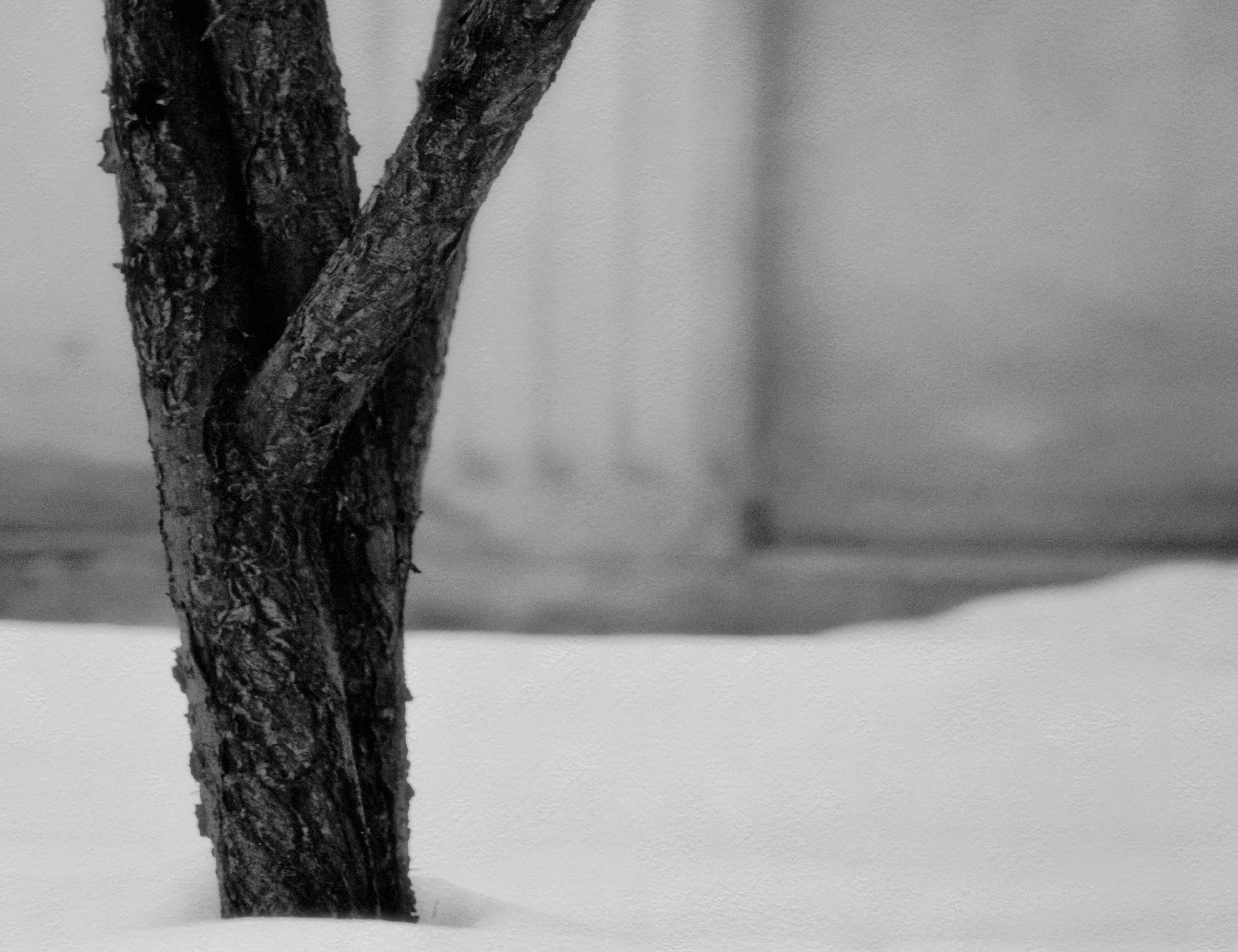 Photo by ghavipanjeh