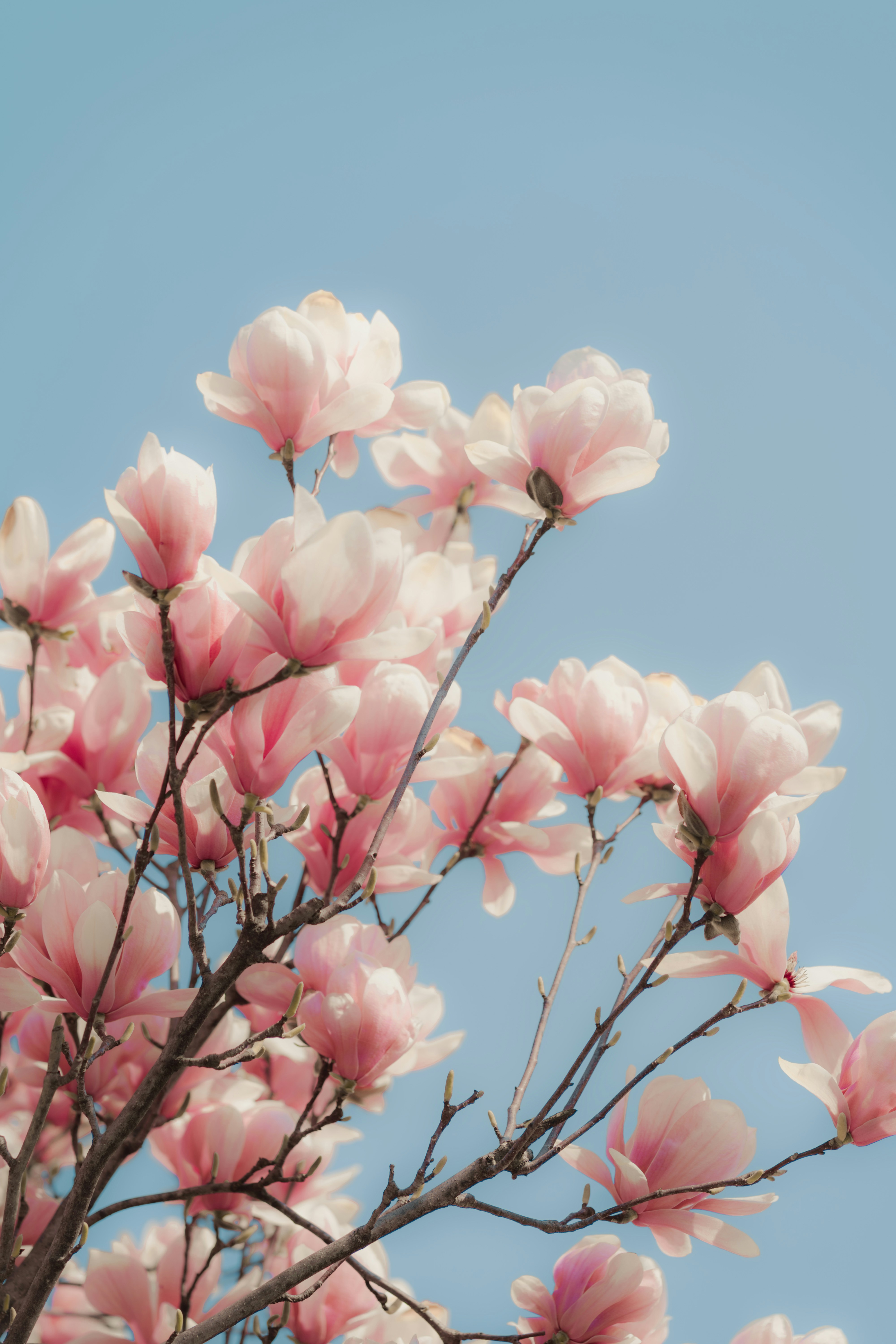 Photo by nunnunannalala