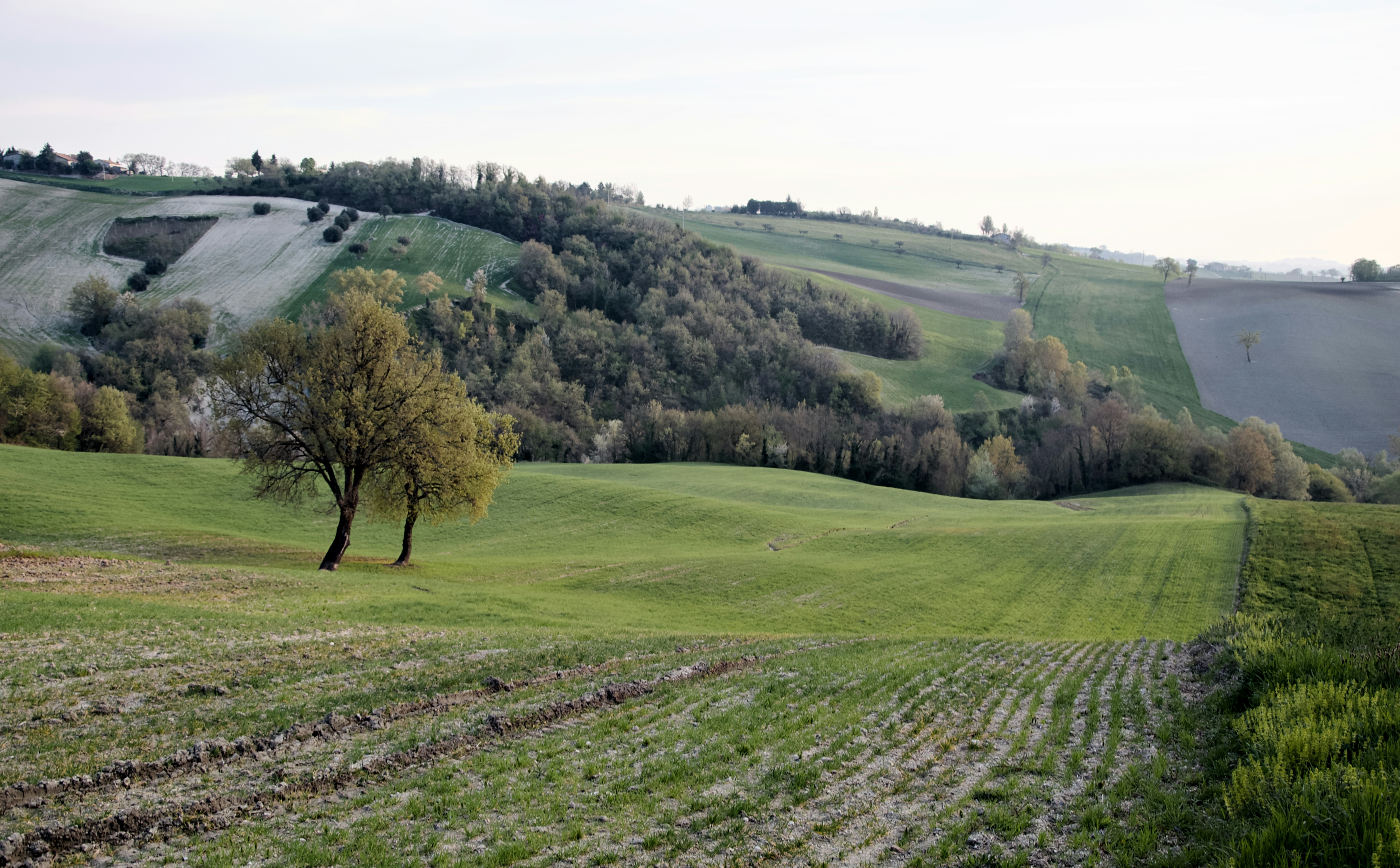 Photo by mariobeducci