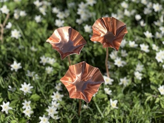 Copper flowers decorate a garden of small white blooms.