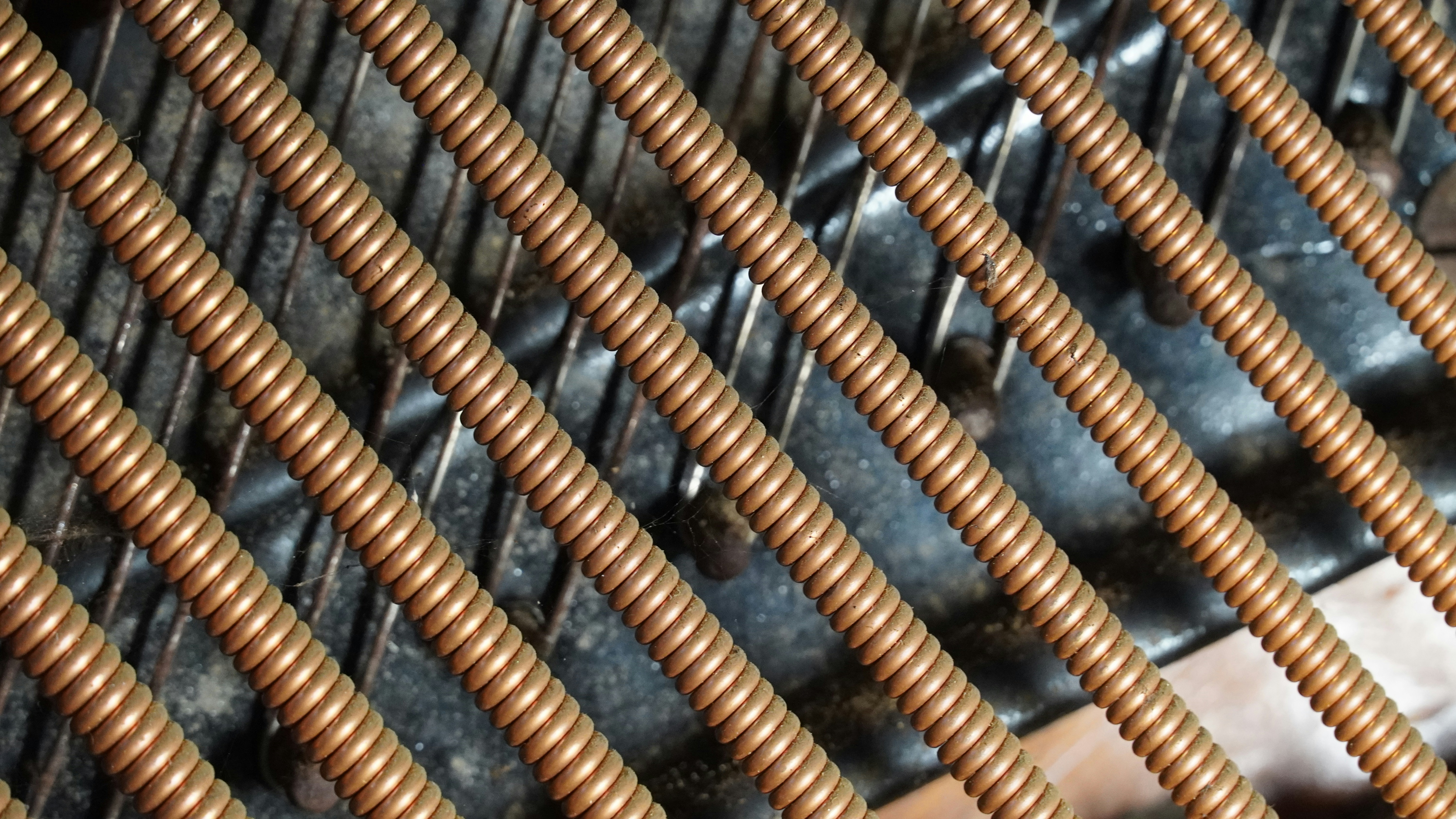 Photo by thefloridianfreak