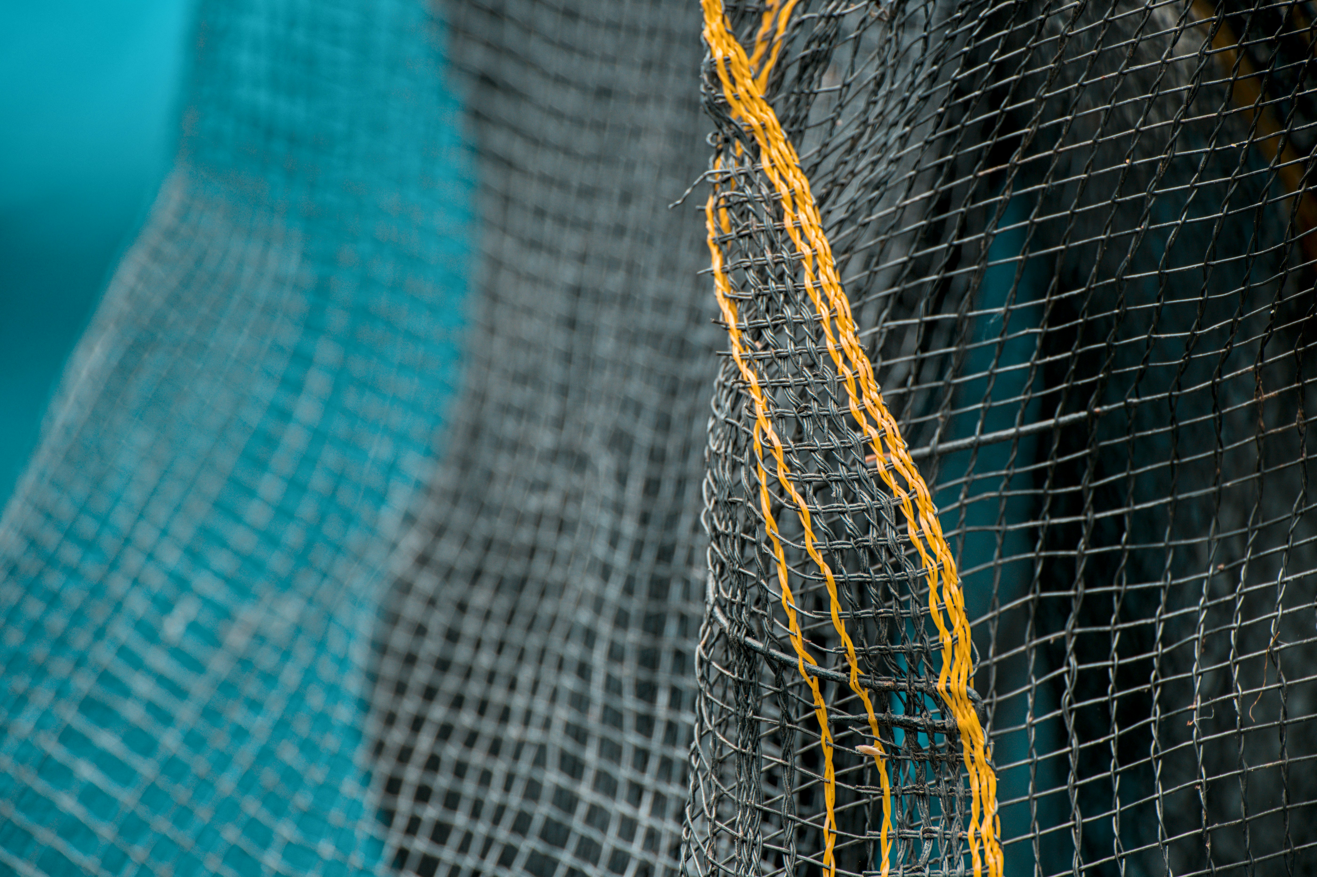 Yellow stitching net