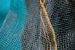 Close-up view of a net with yellow stitching.