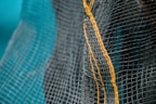 Close-up view of a net with yellow stitching.