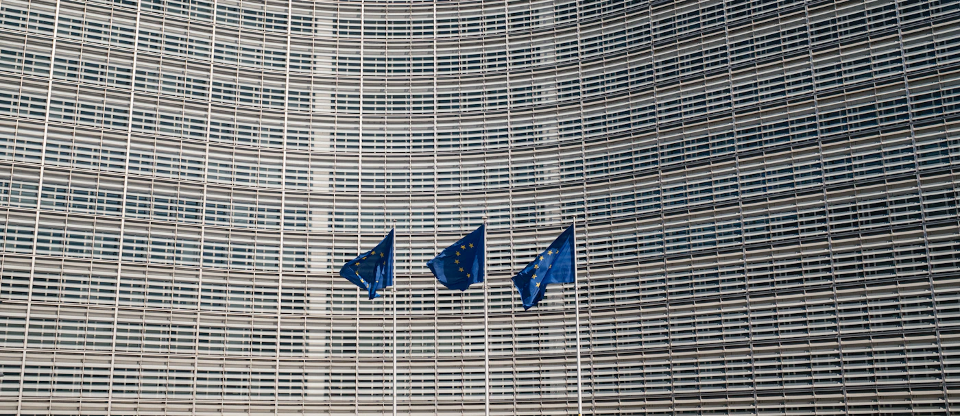 Steaguri ale Uniunii Europene, fotografie ilustrativă