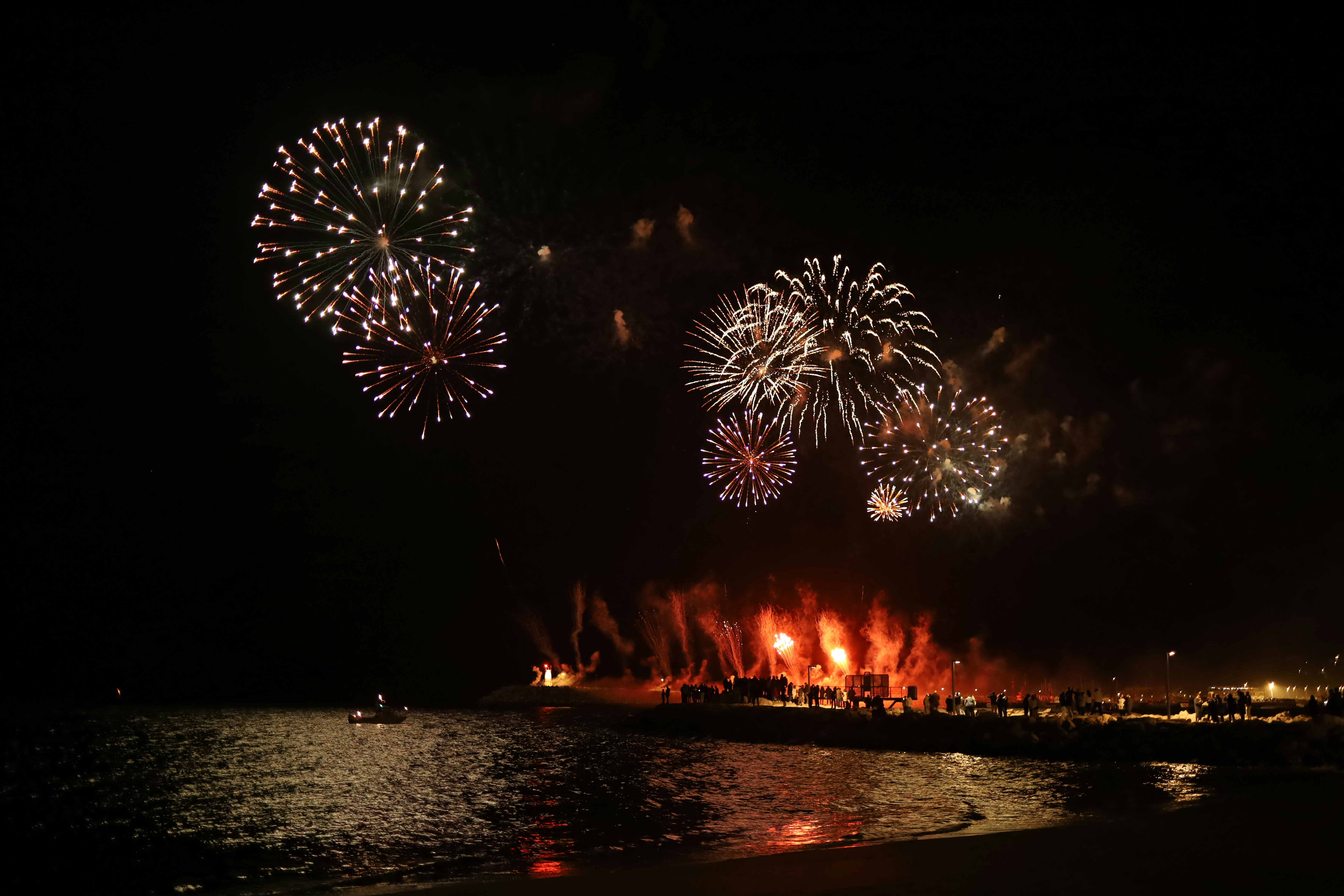 Photo by noelephantsflying