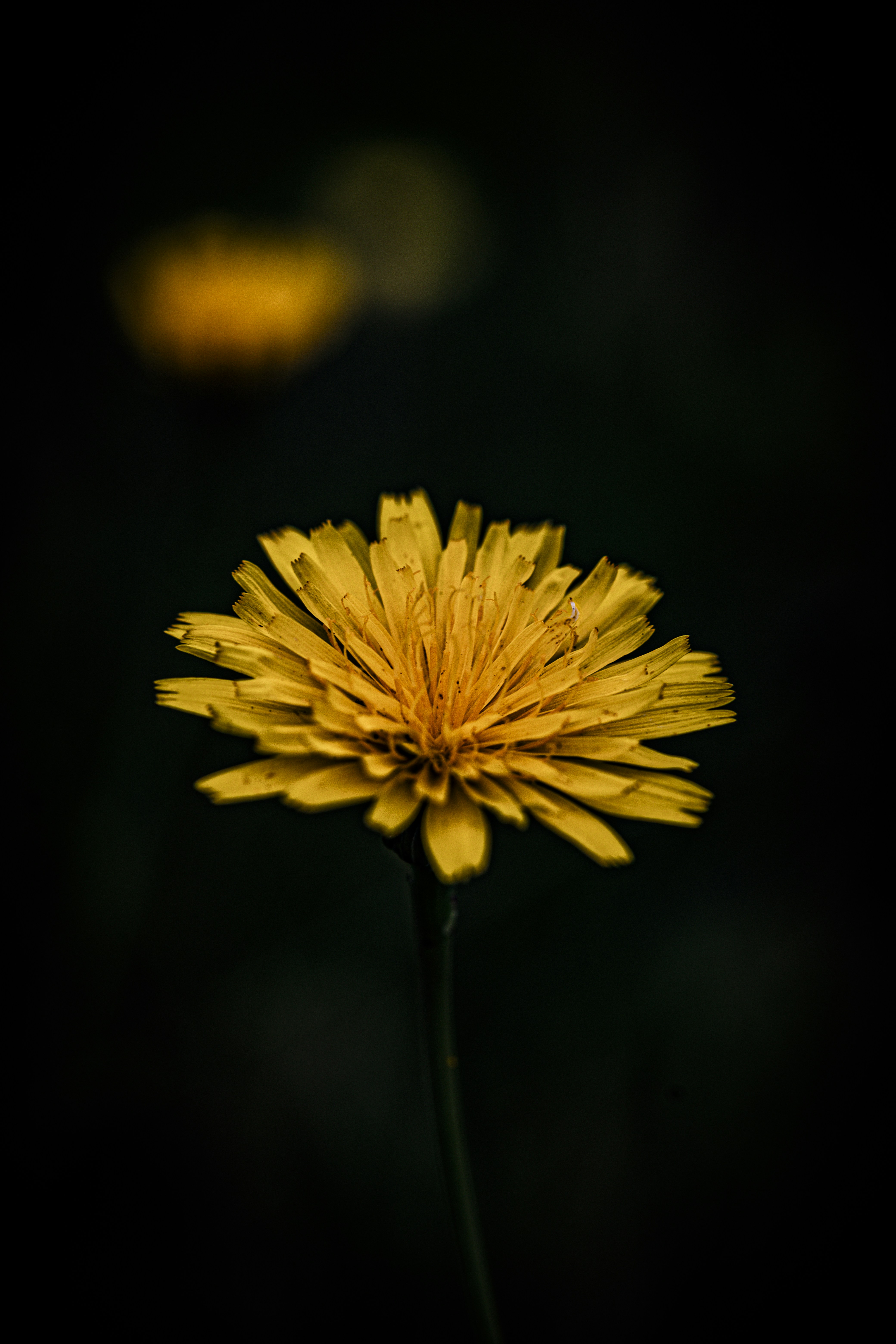 Photo by junior_hector