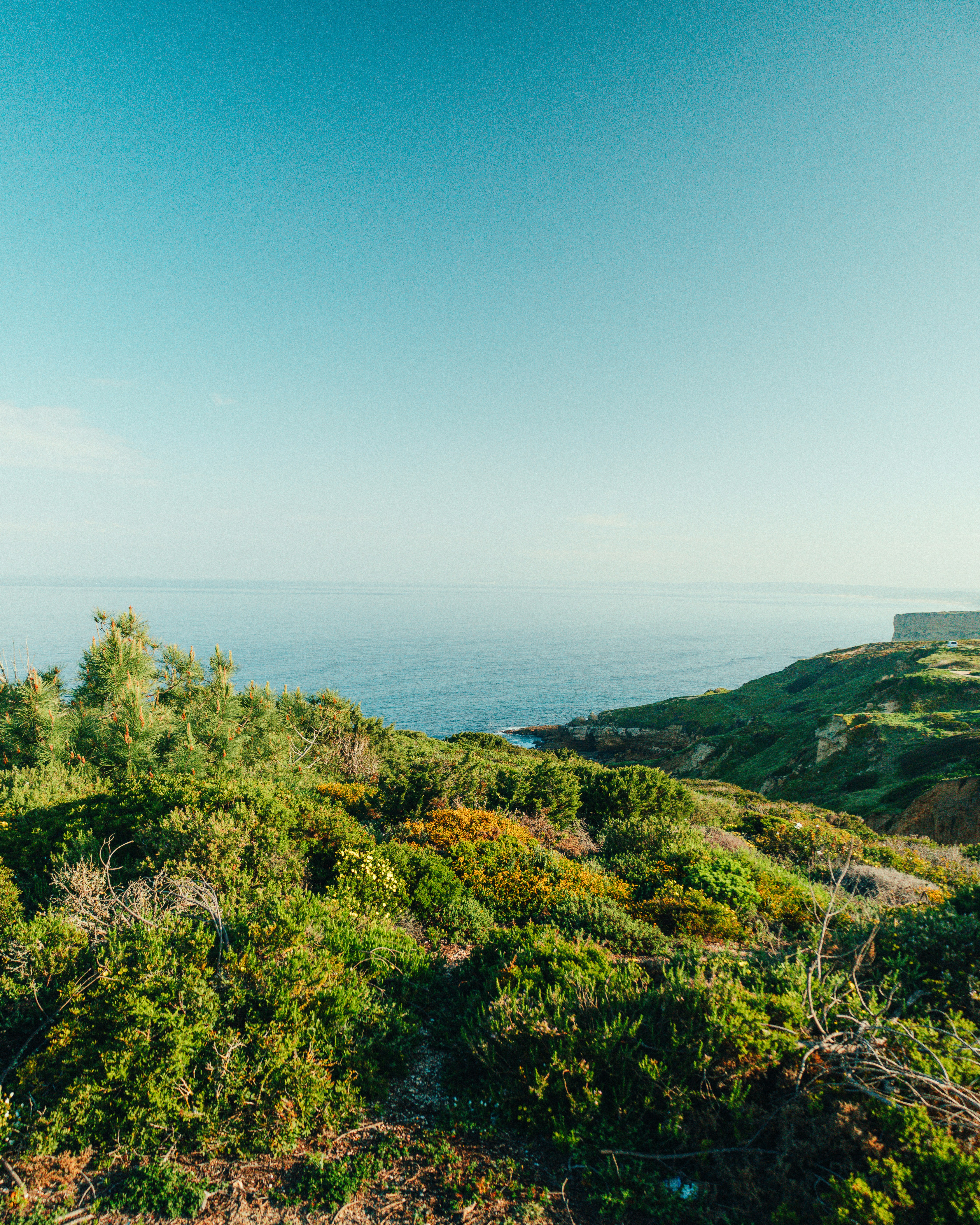 Photo by rodrigoesant