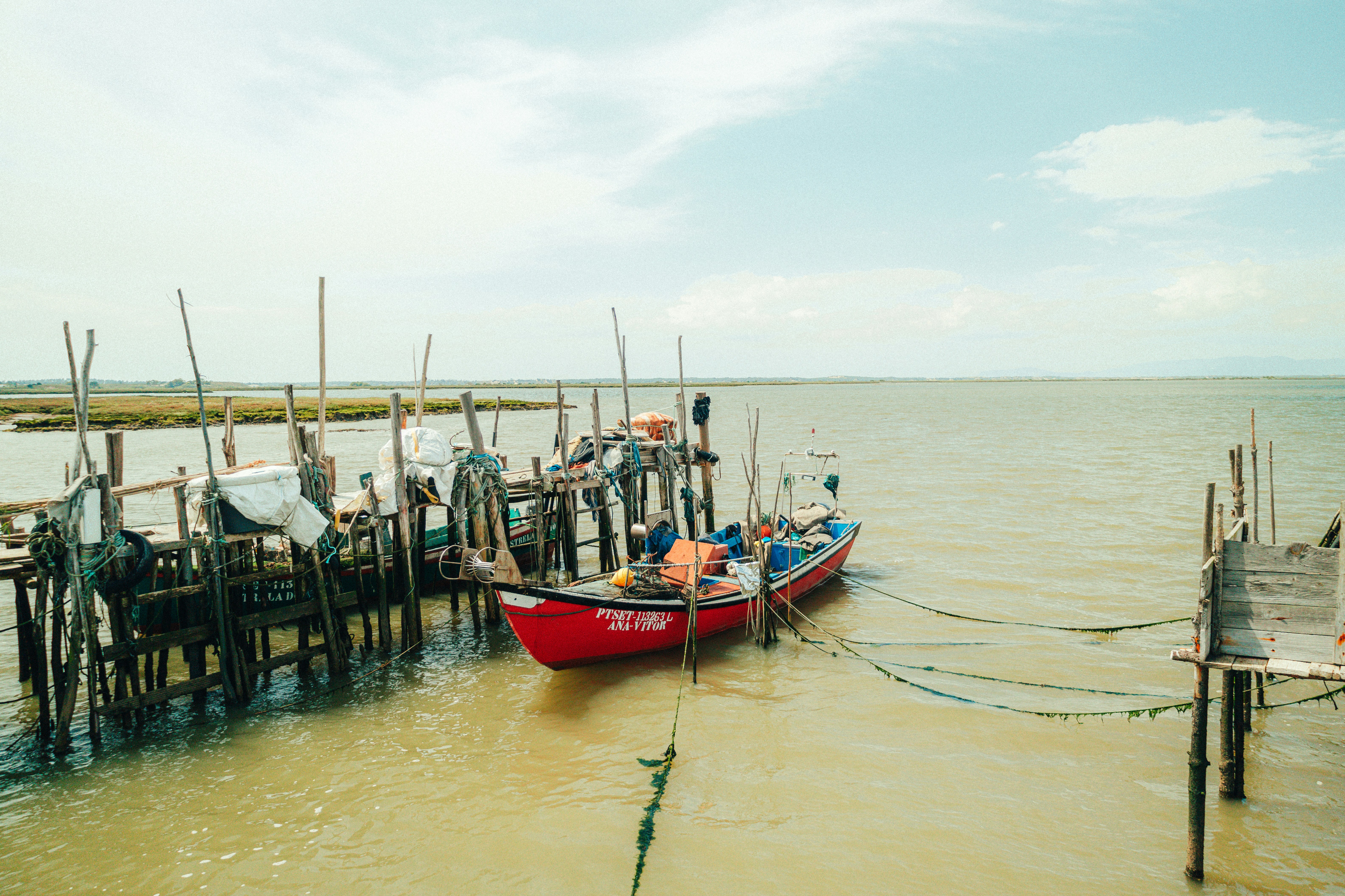 Photo by rodrigoesant