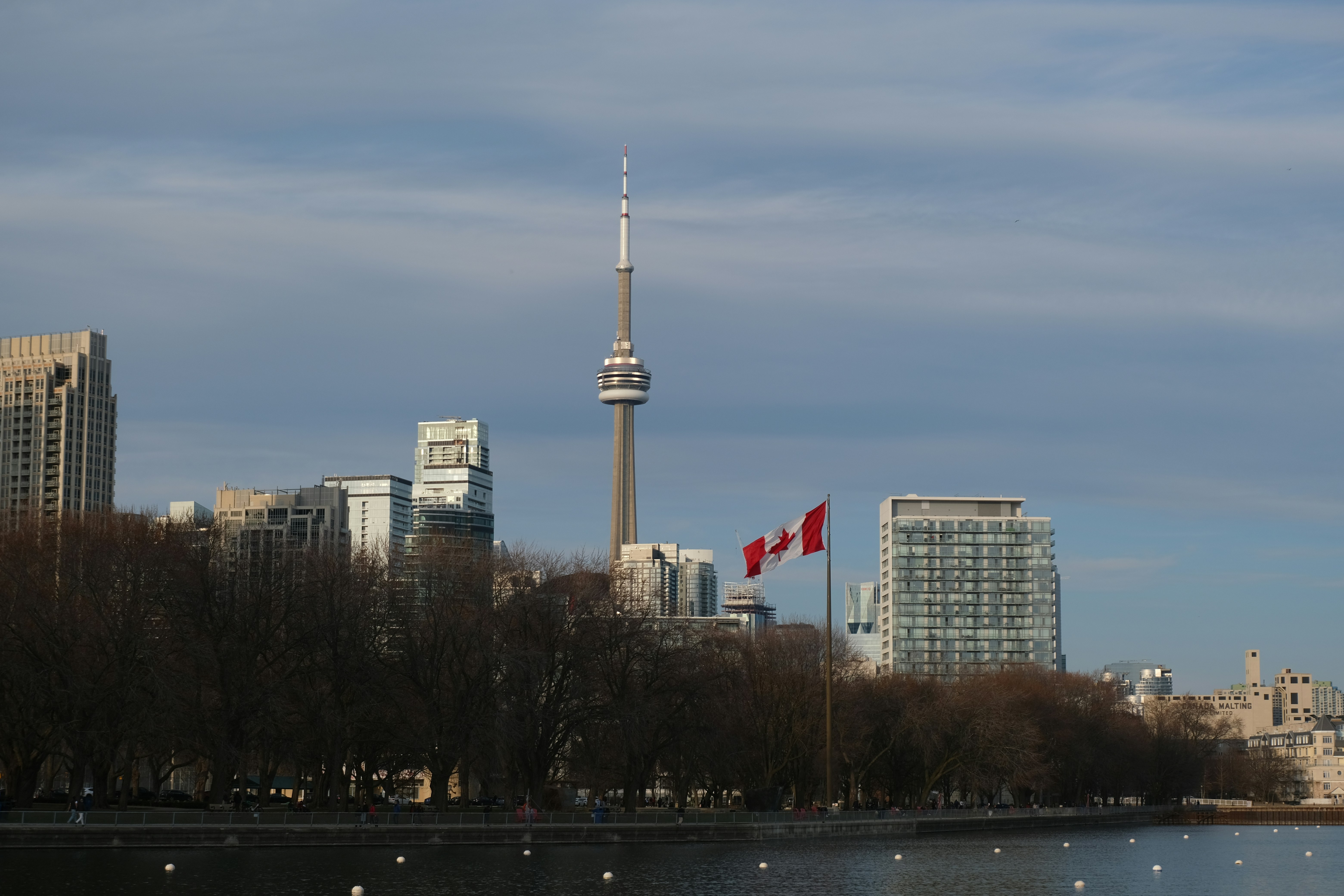 Toronto skyline featuring the CN Tower and Rogers Centre - best city to travel to in canada