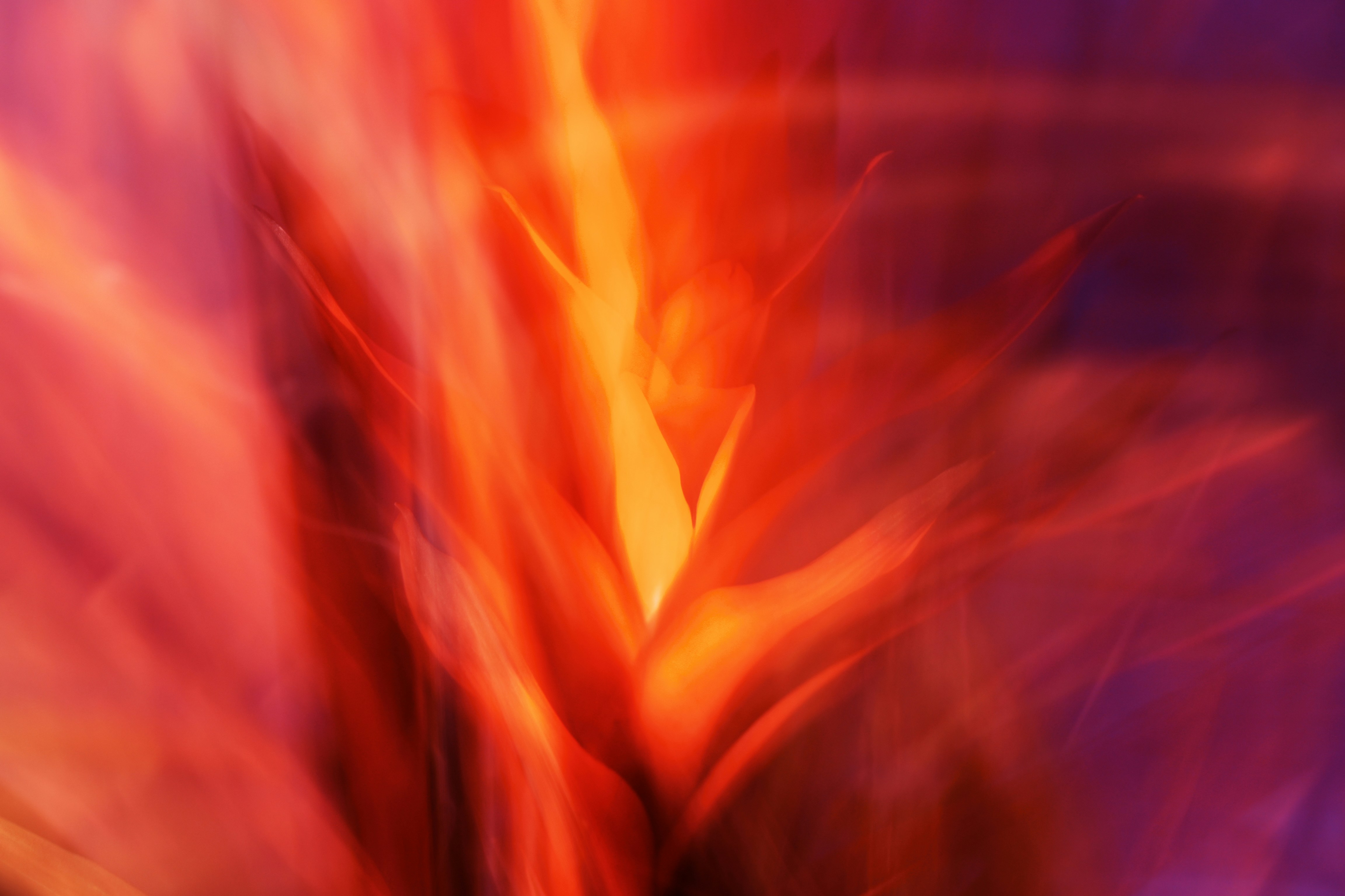 Fiery abstract art in red and orange hues.