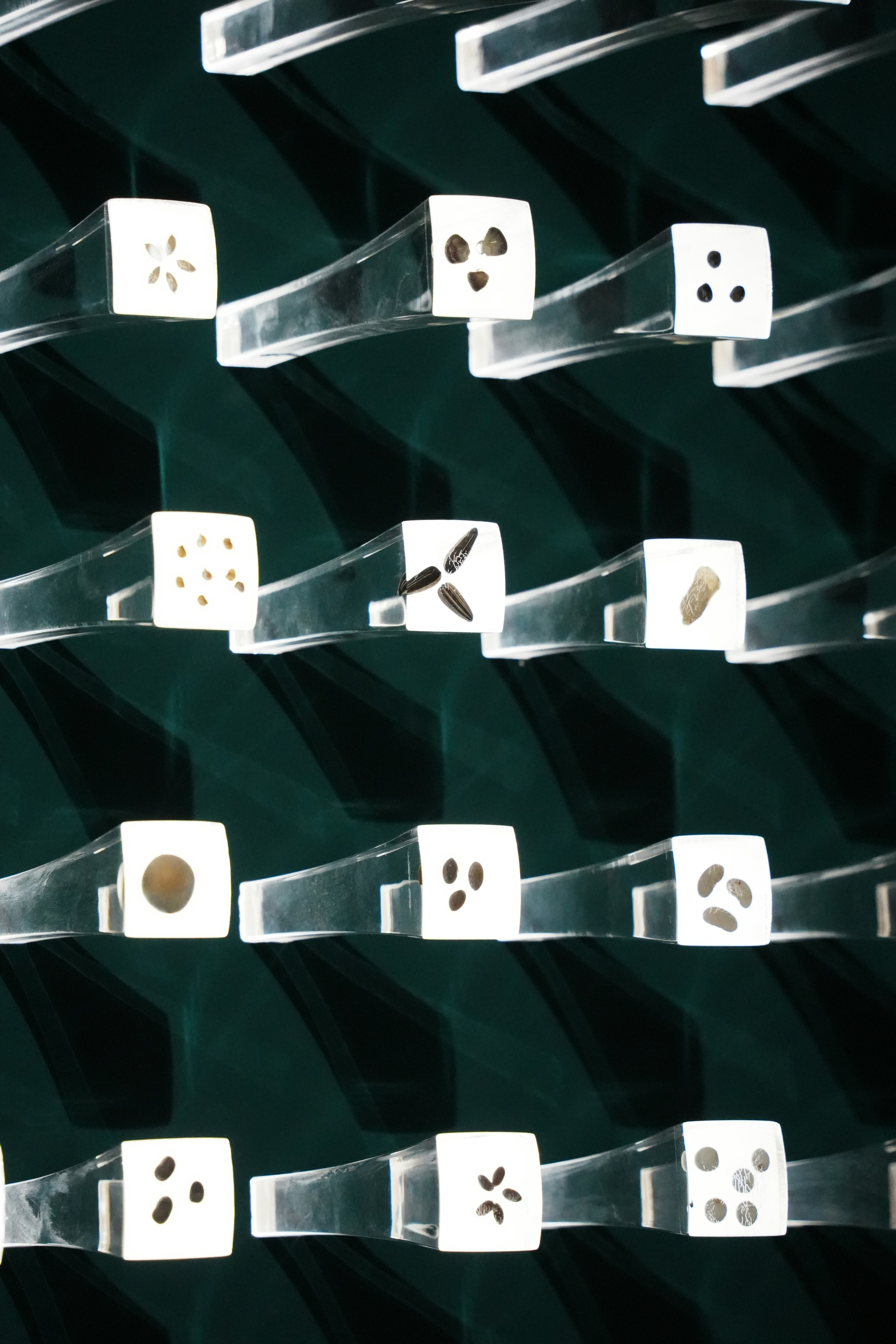 Abstract shapes arranged on clear, angled shelves.