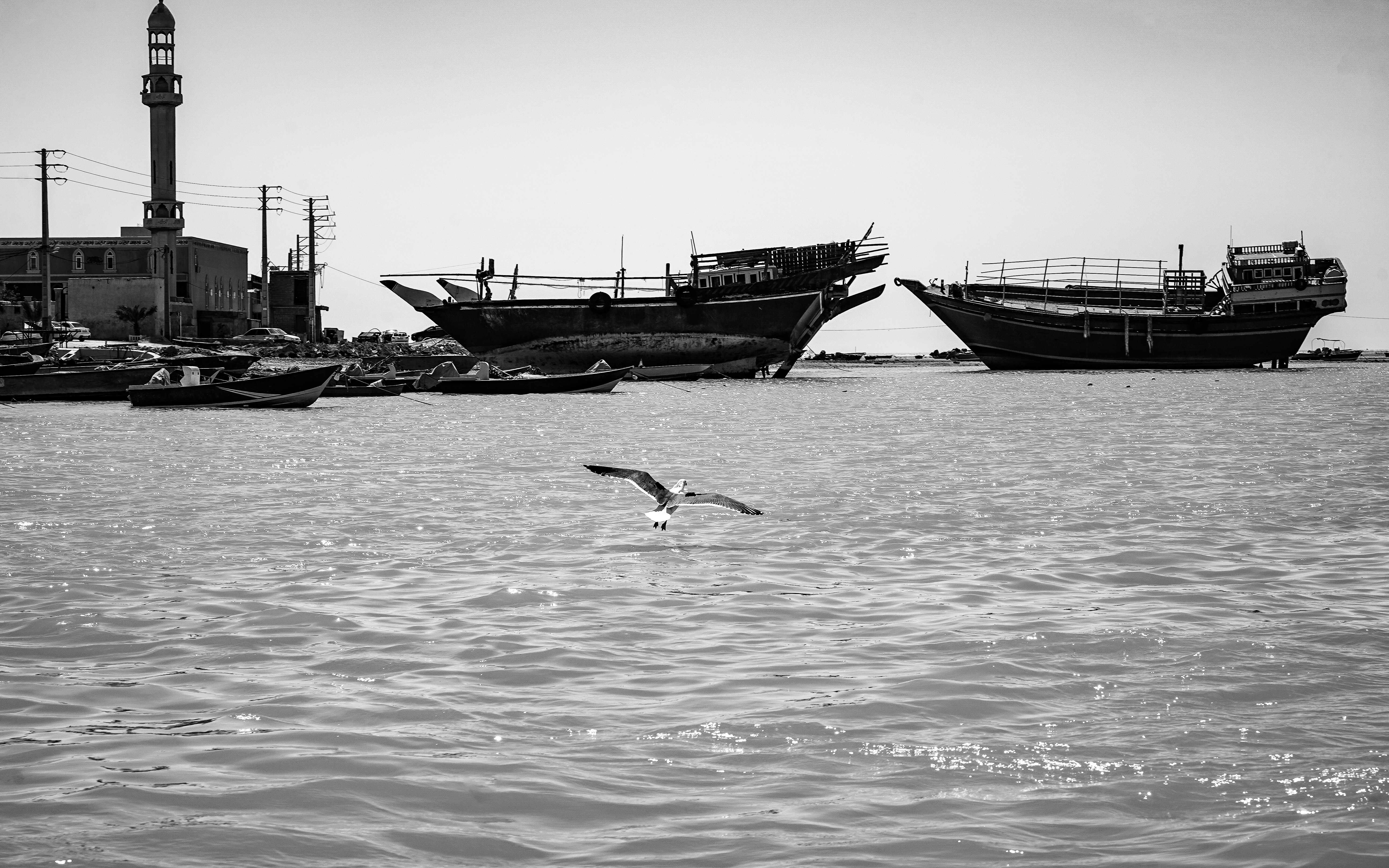 Boats float in the water, with a bird flying.