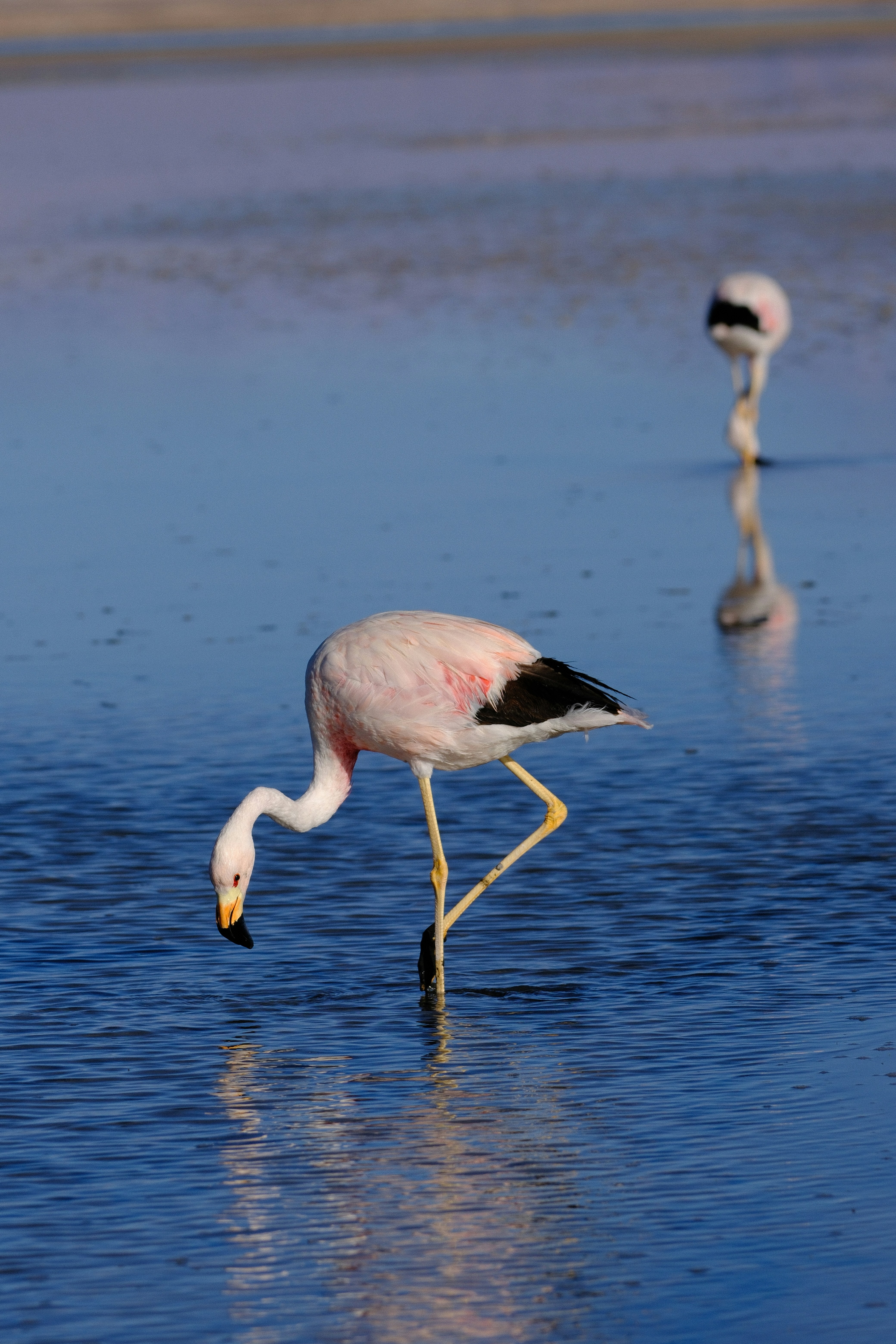 Photo by diegosmarines