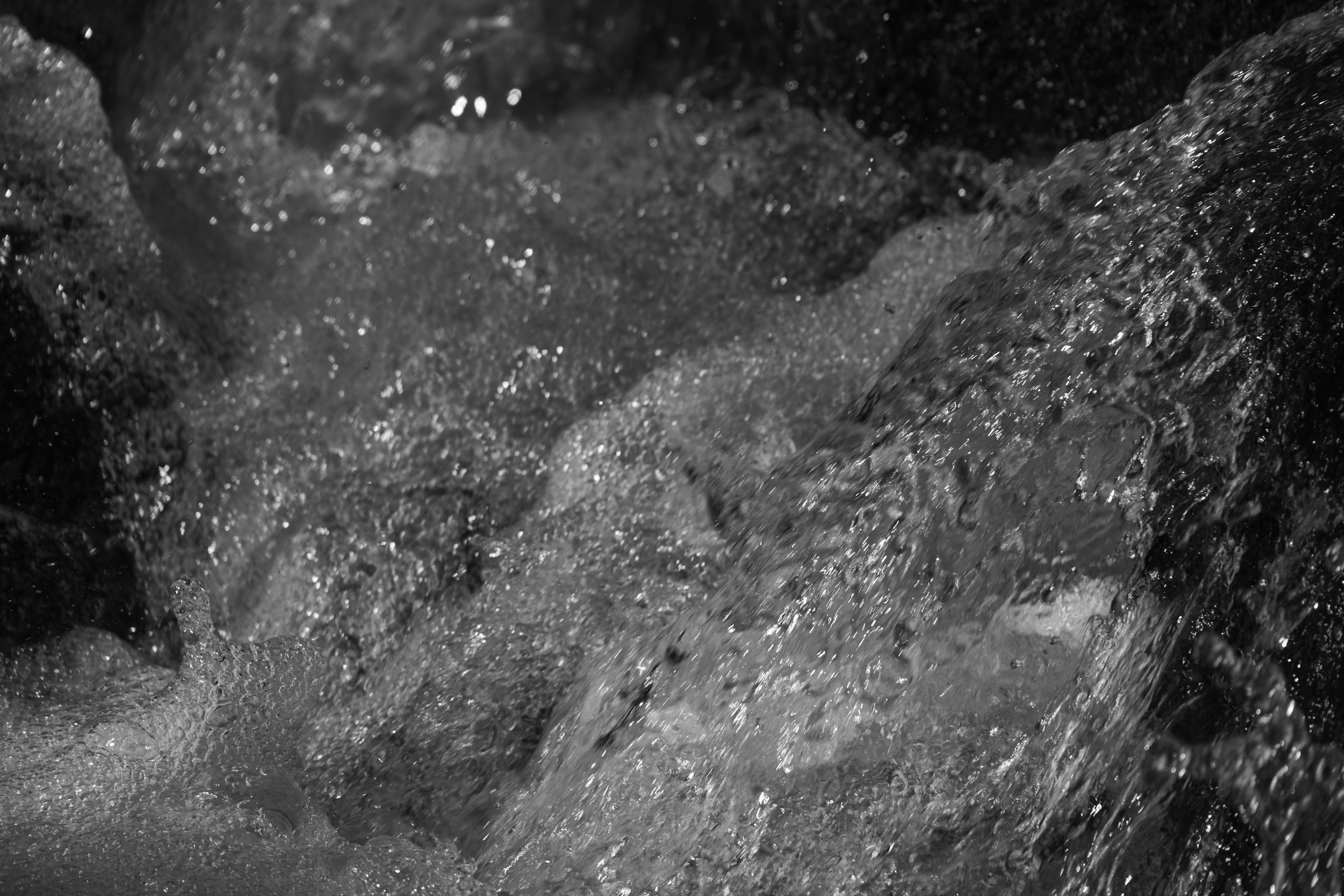 Photo by wolfgang_hasselmann