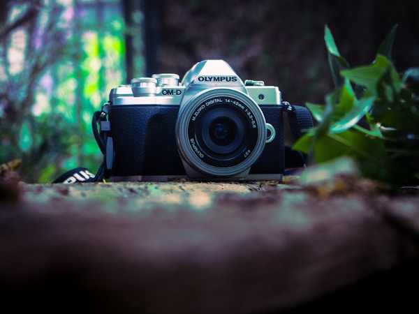 A camera rests on a wooden surface.