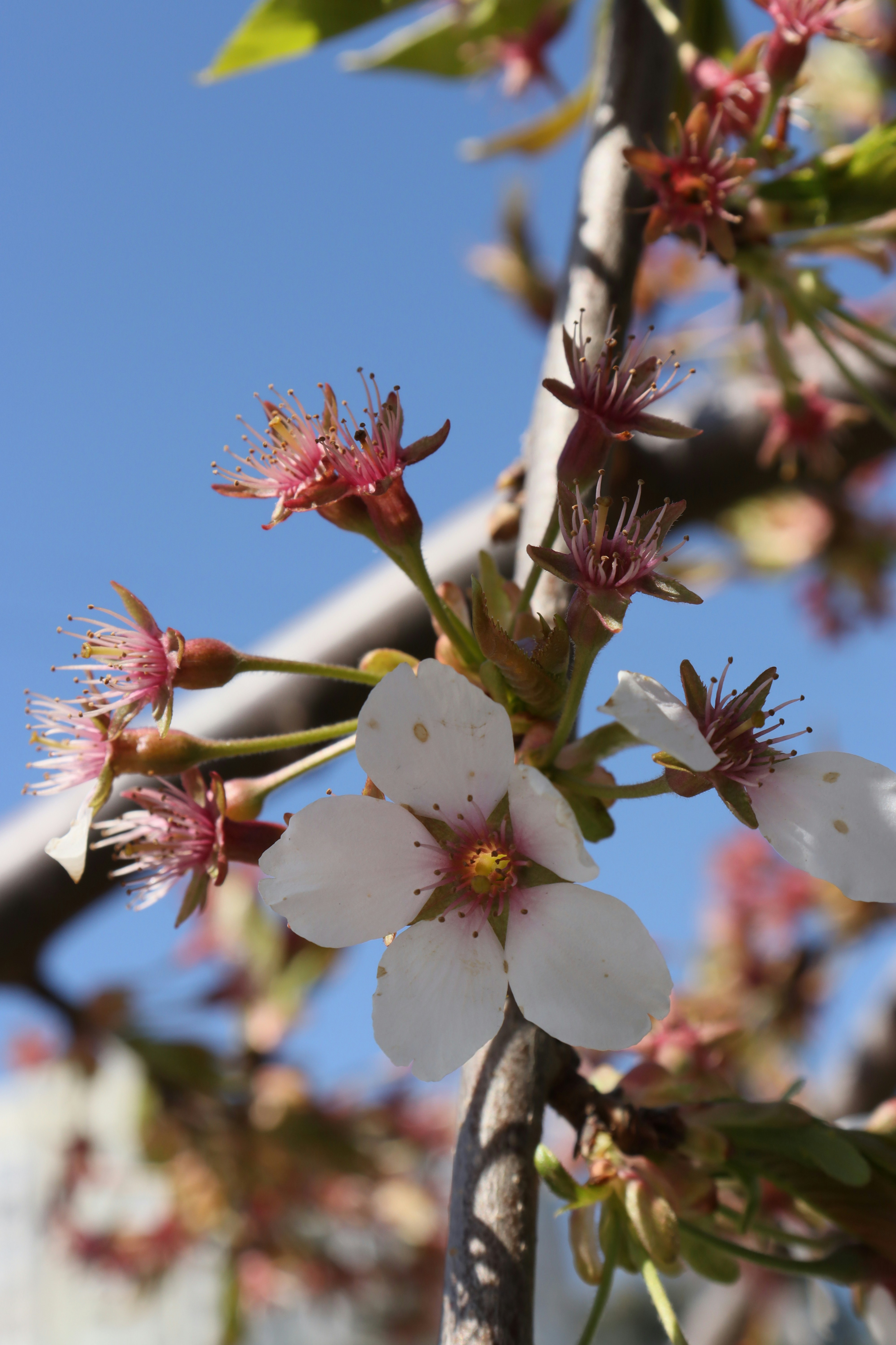 Photo by bored_mongoose