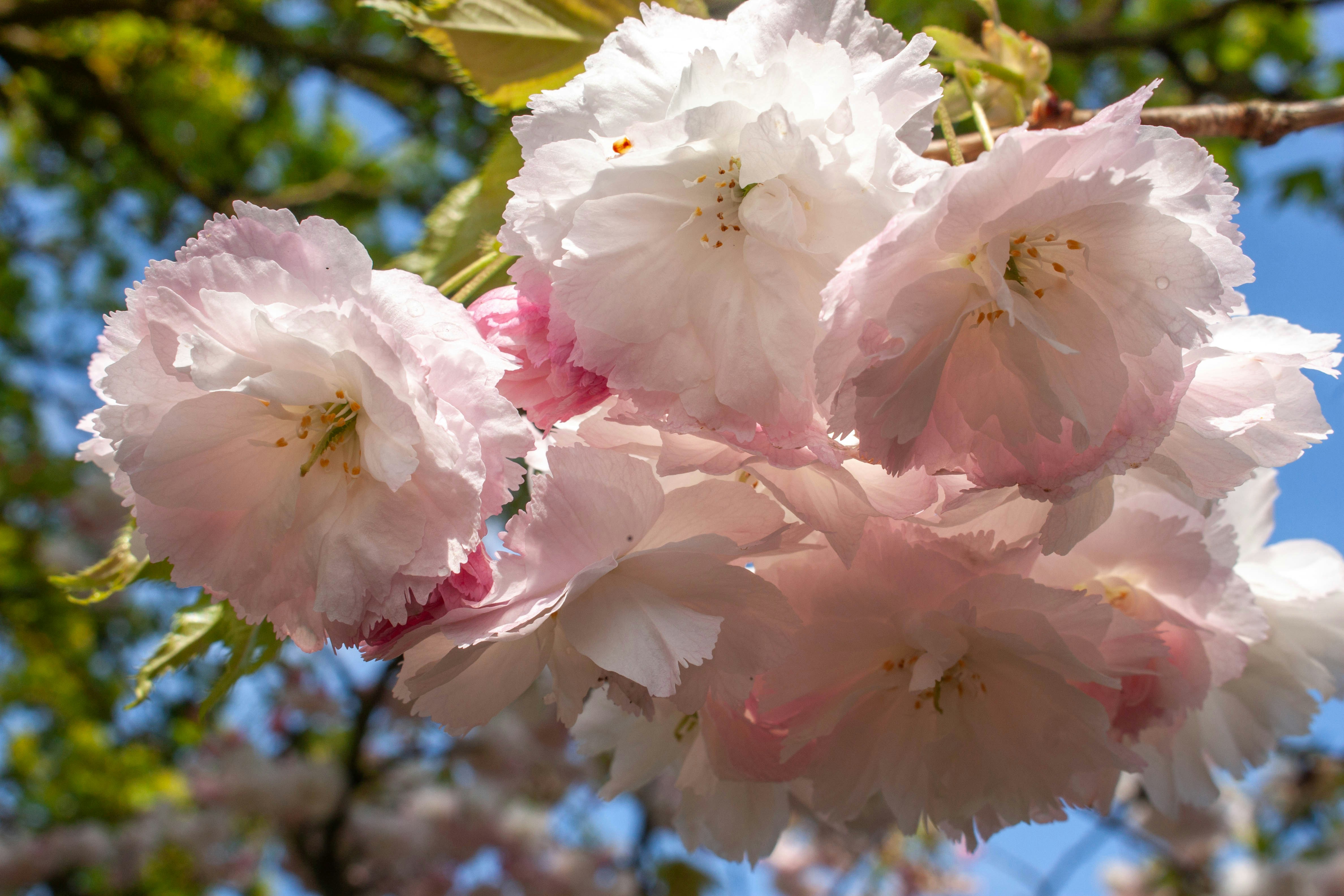 Photo by kamillaisalieva