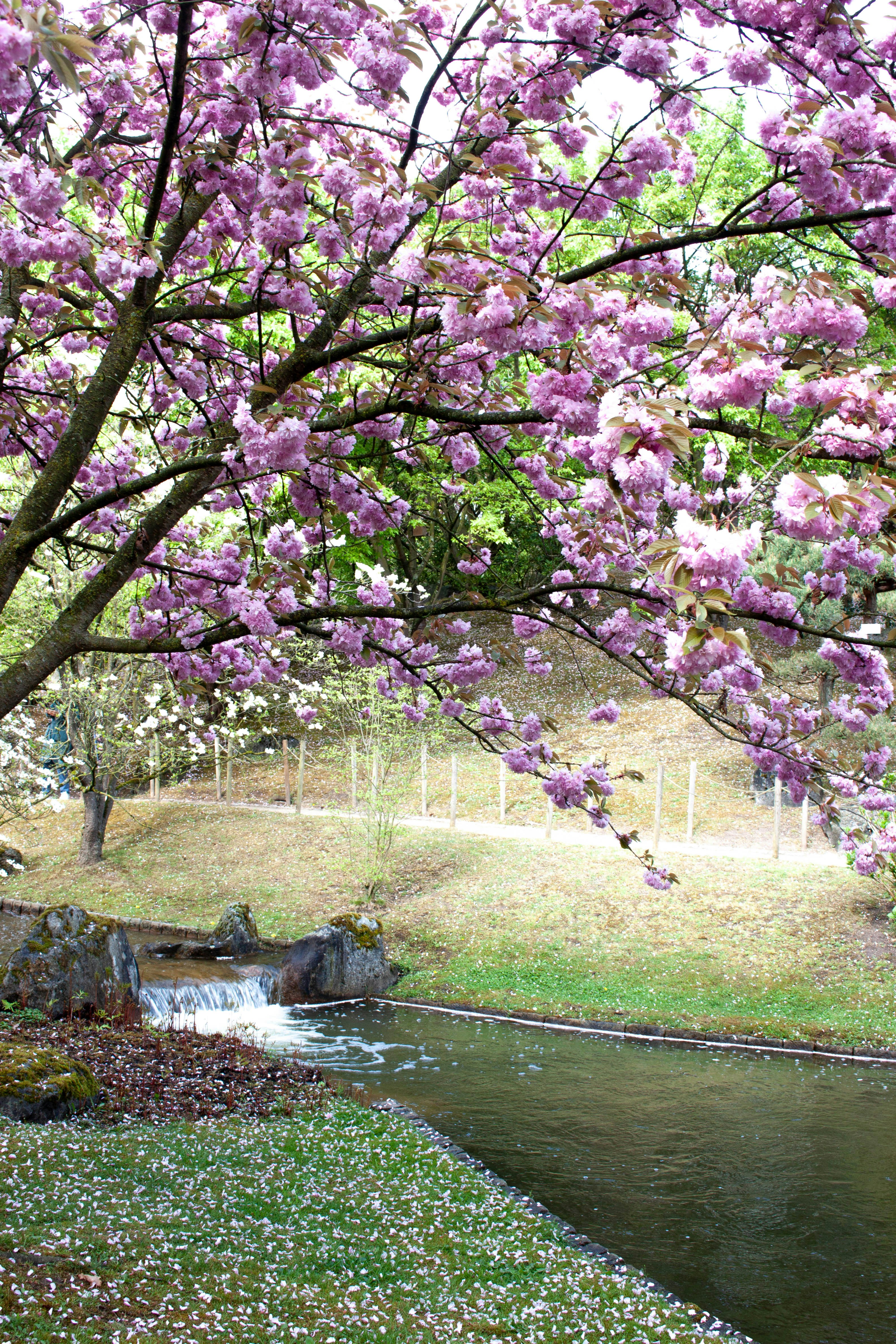 Photo by kamillaisalieva