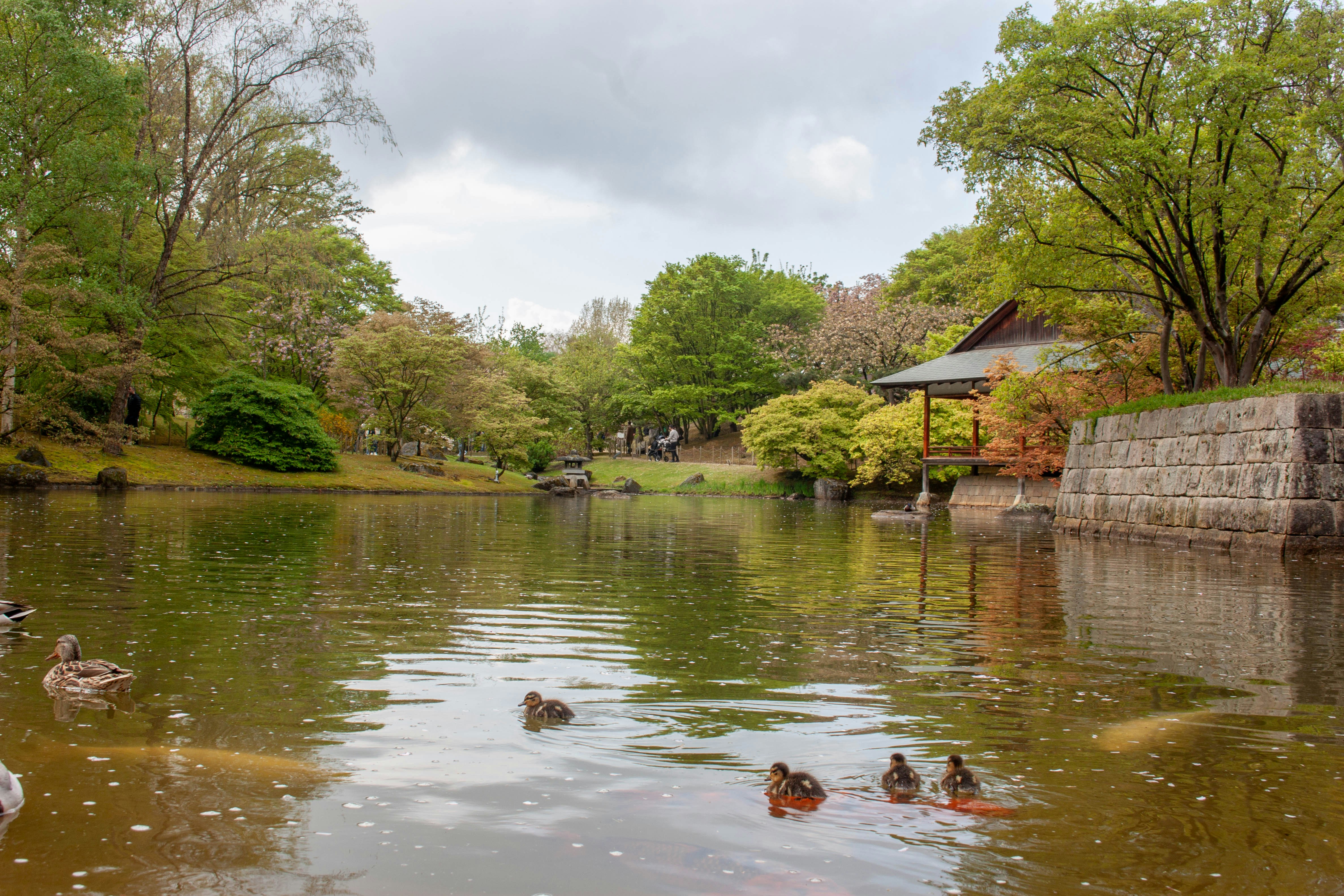 Photo by kamillaisalieva