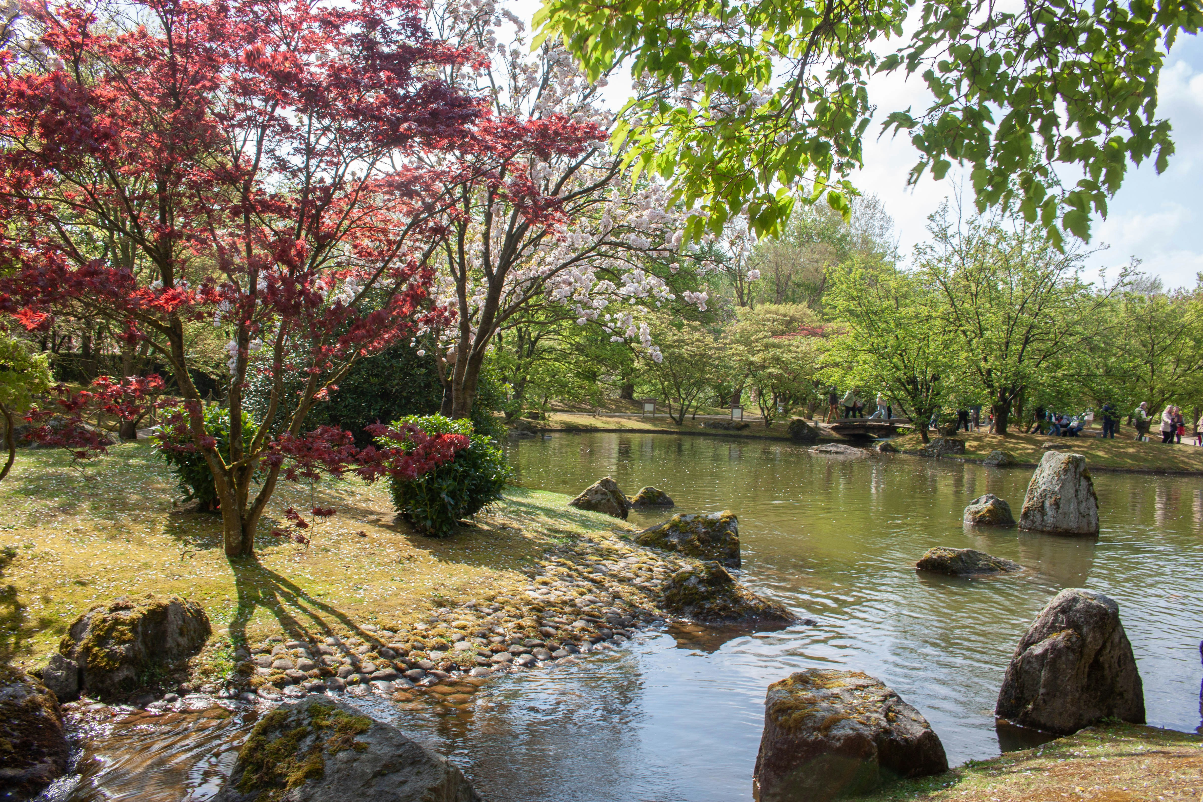 Photo by kamillaisalieva