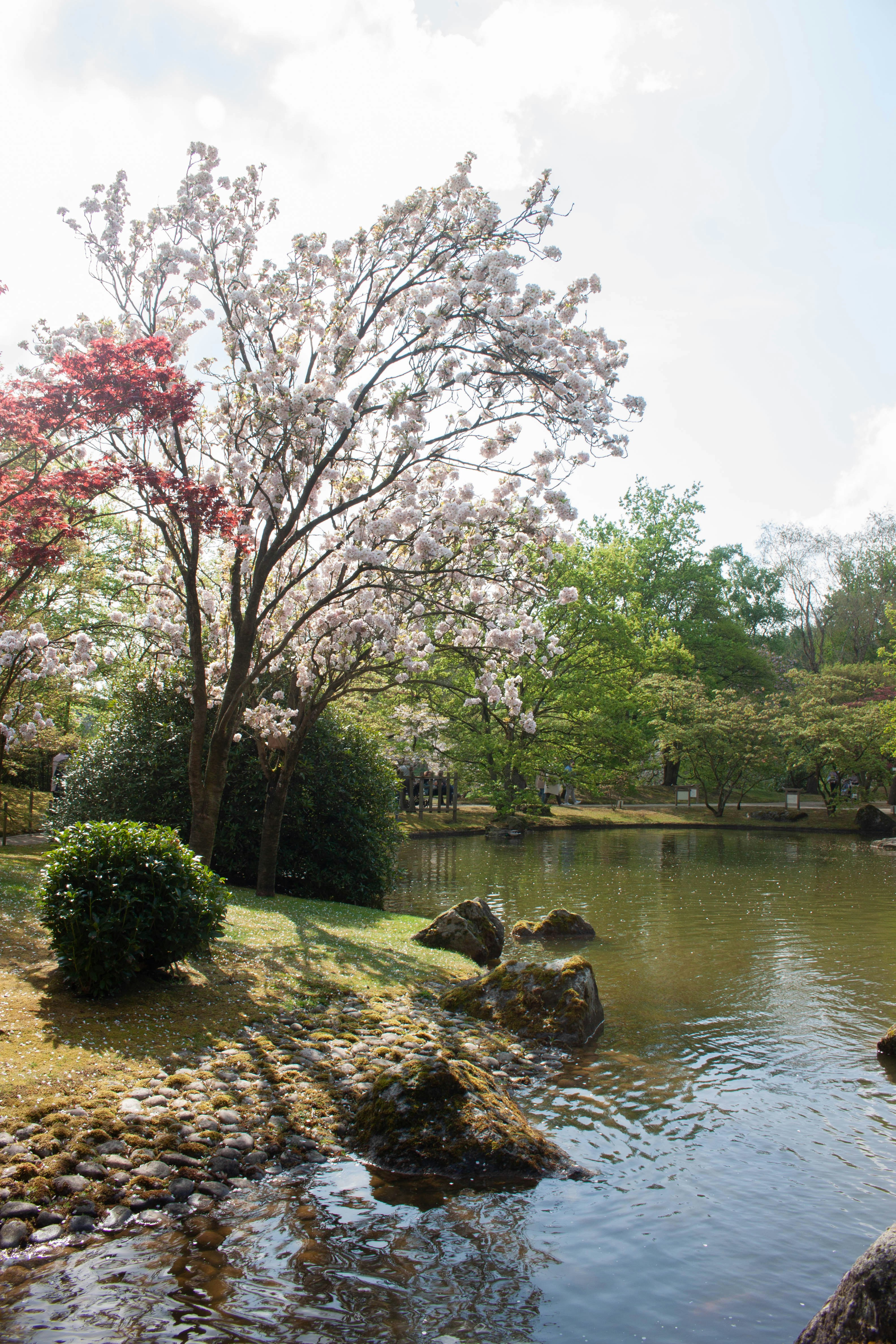 Photo by kamillaisalieva