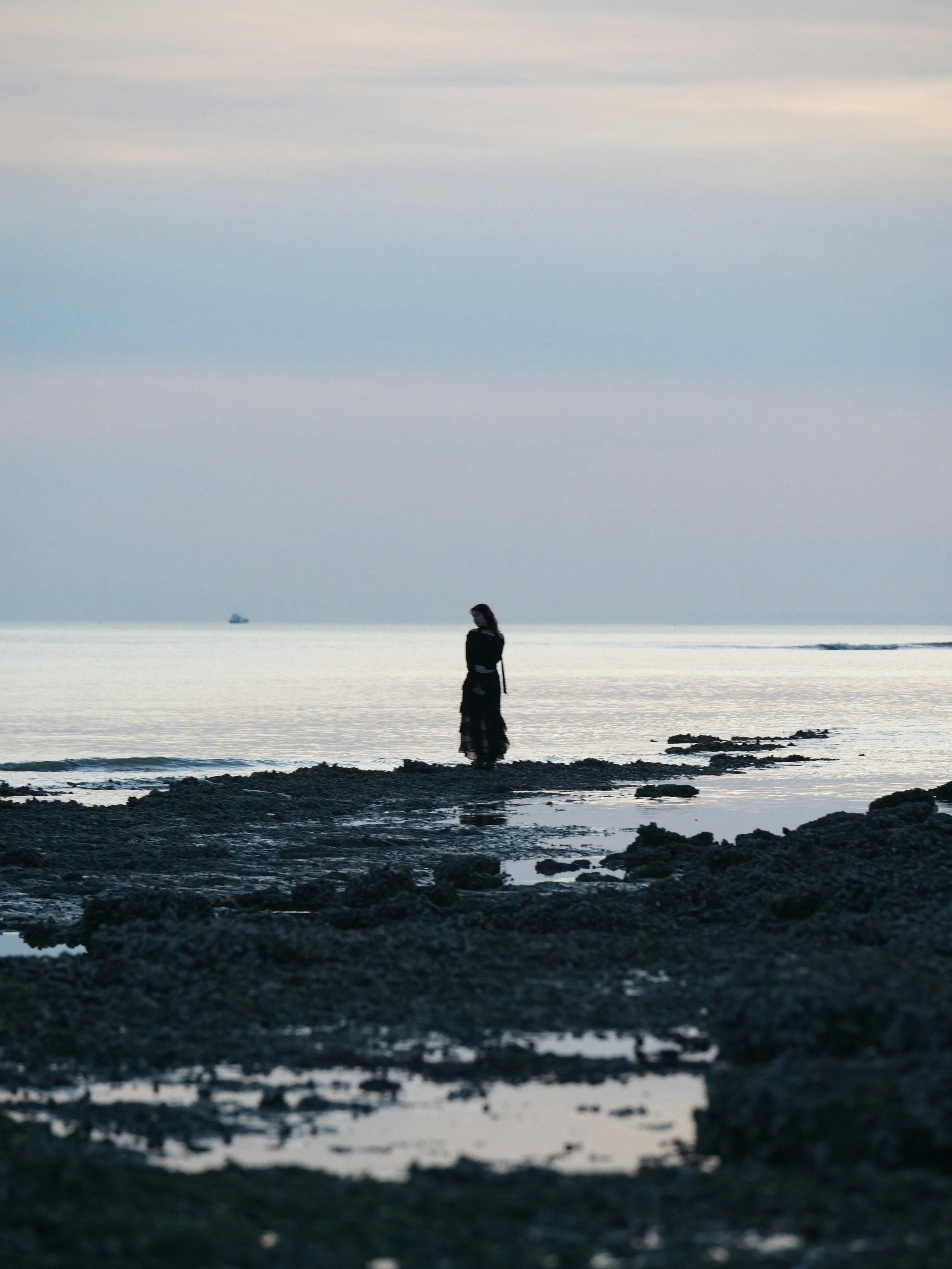 A lone woman stands on a shore at dusk.