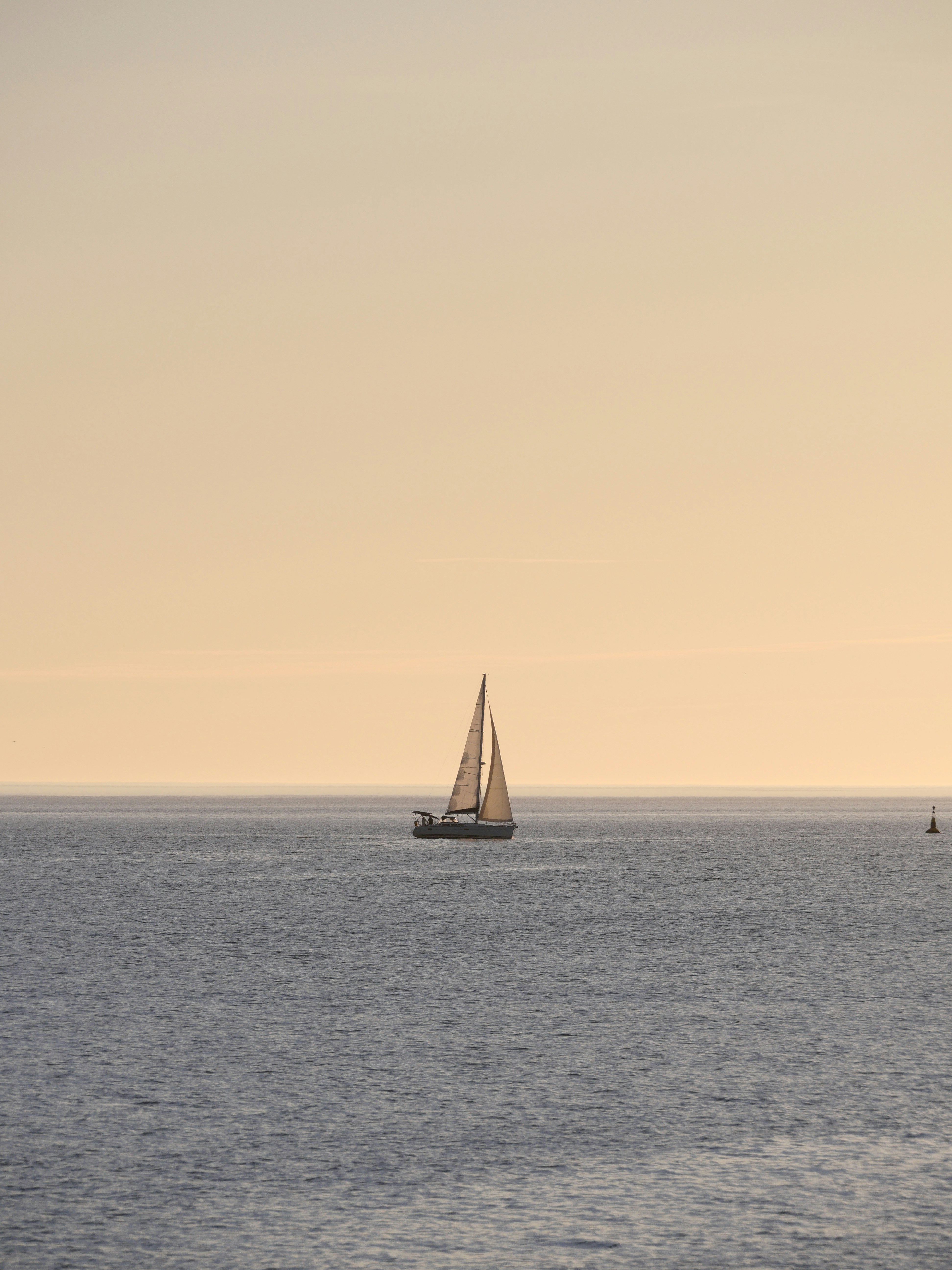 Photo by nimbus_vulpis