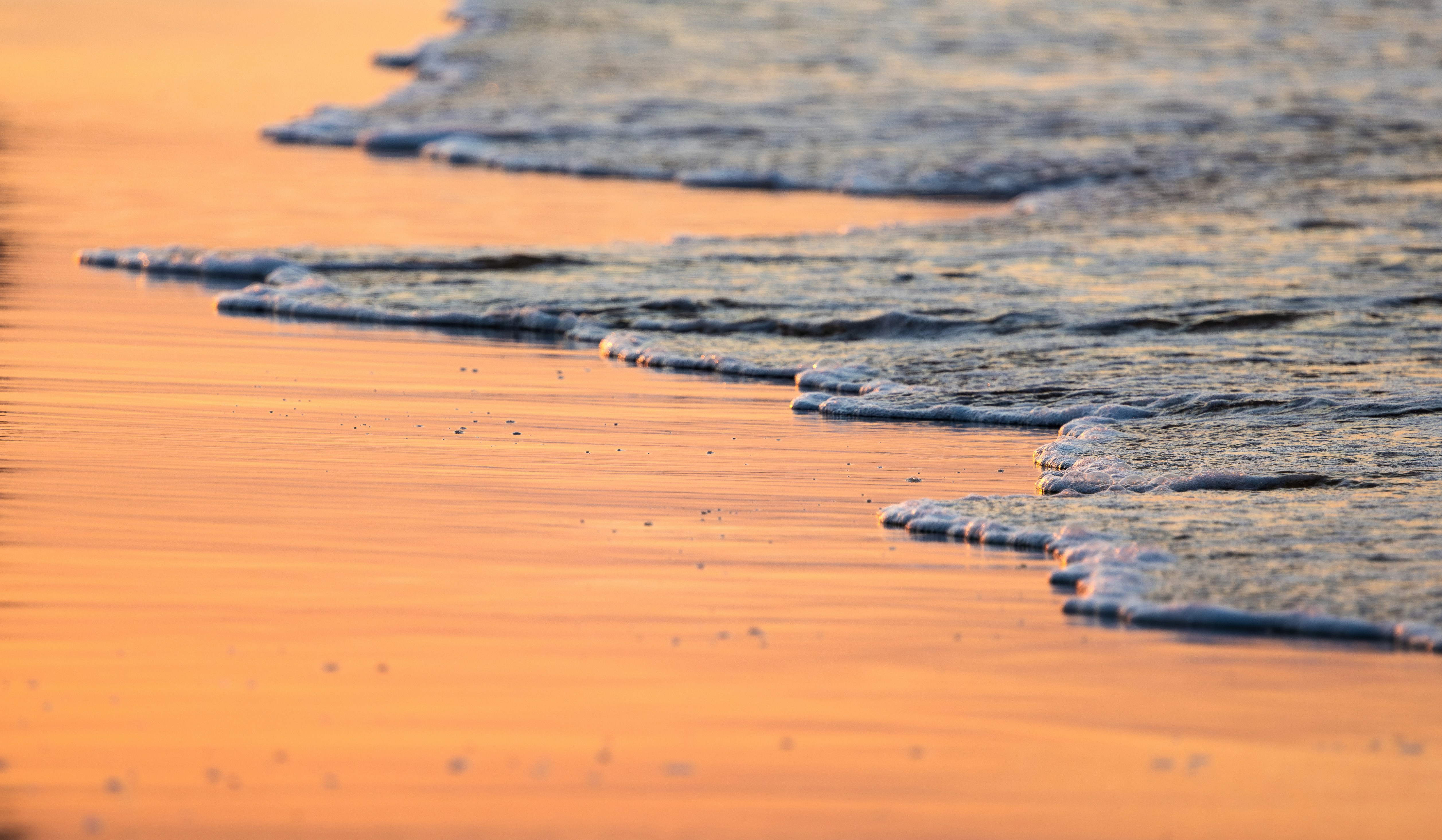 Photo by marekpiwnicki