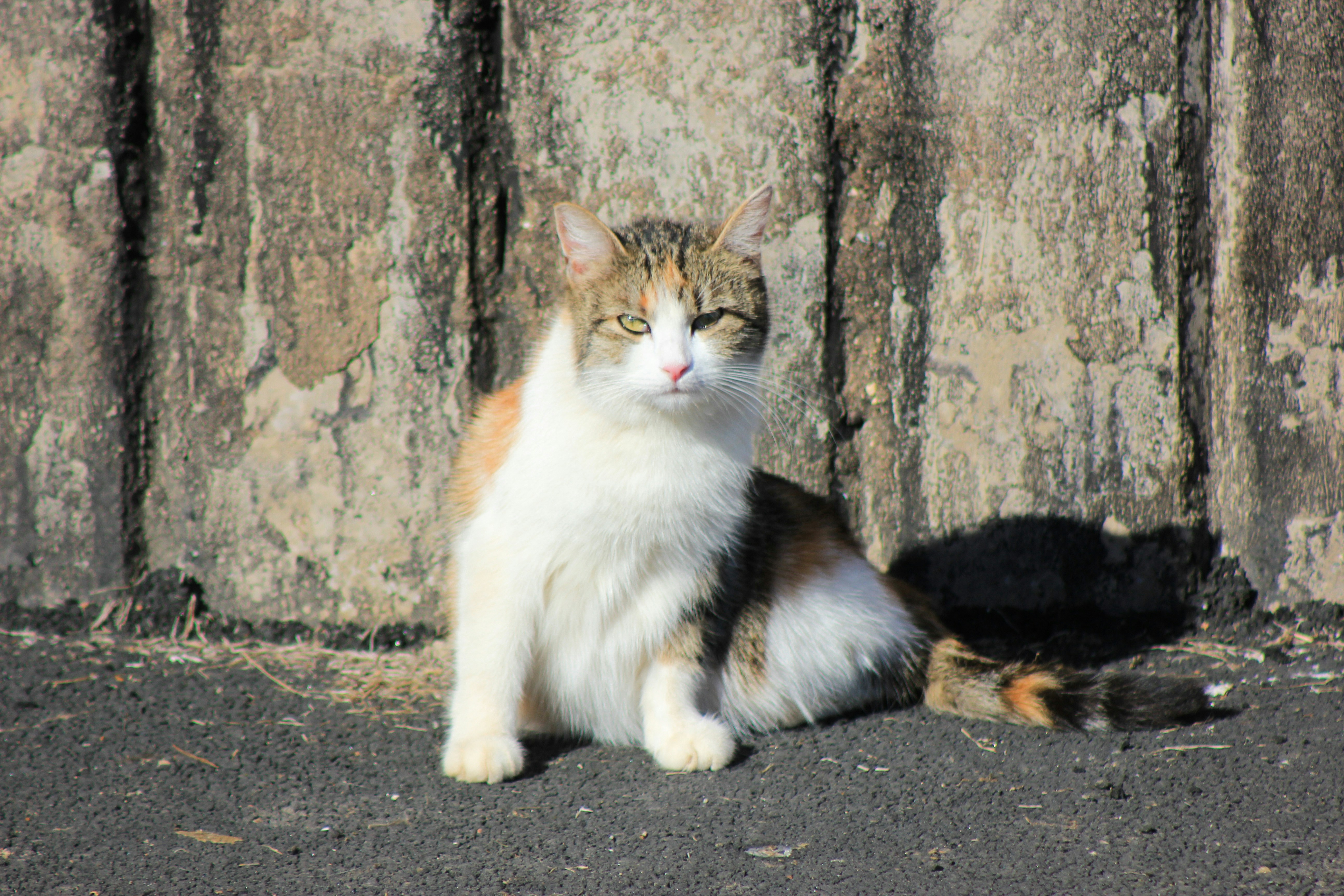 Photo by squirrelinside