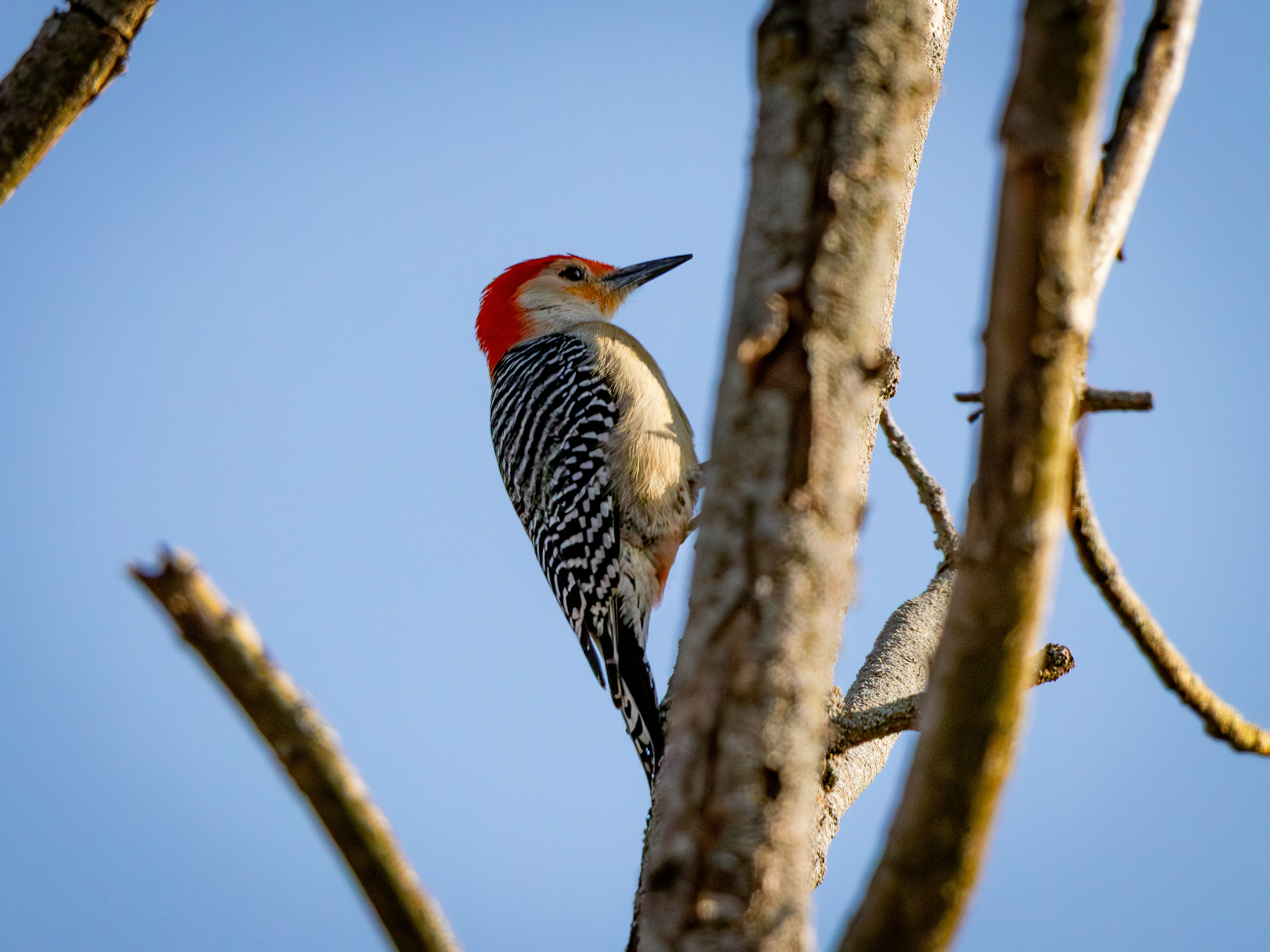 Photo by williamfaicher