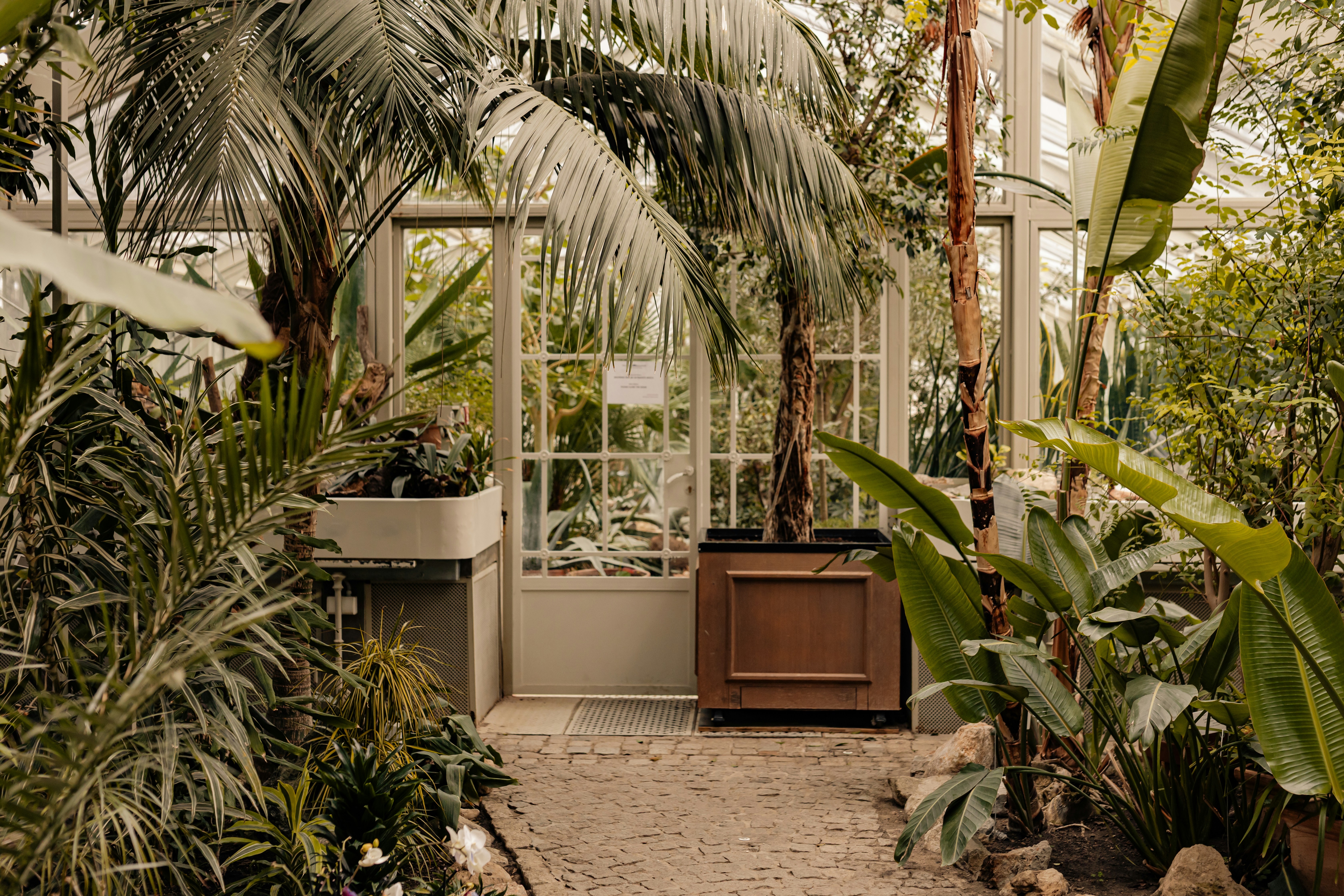 A lush garden with tropical plants in view.