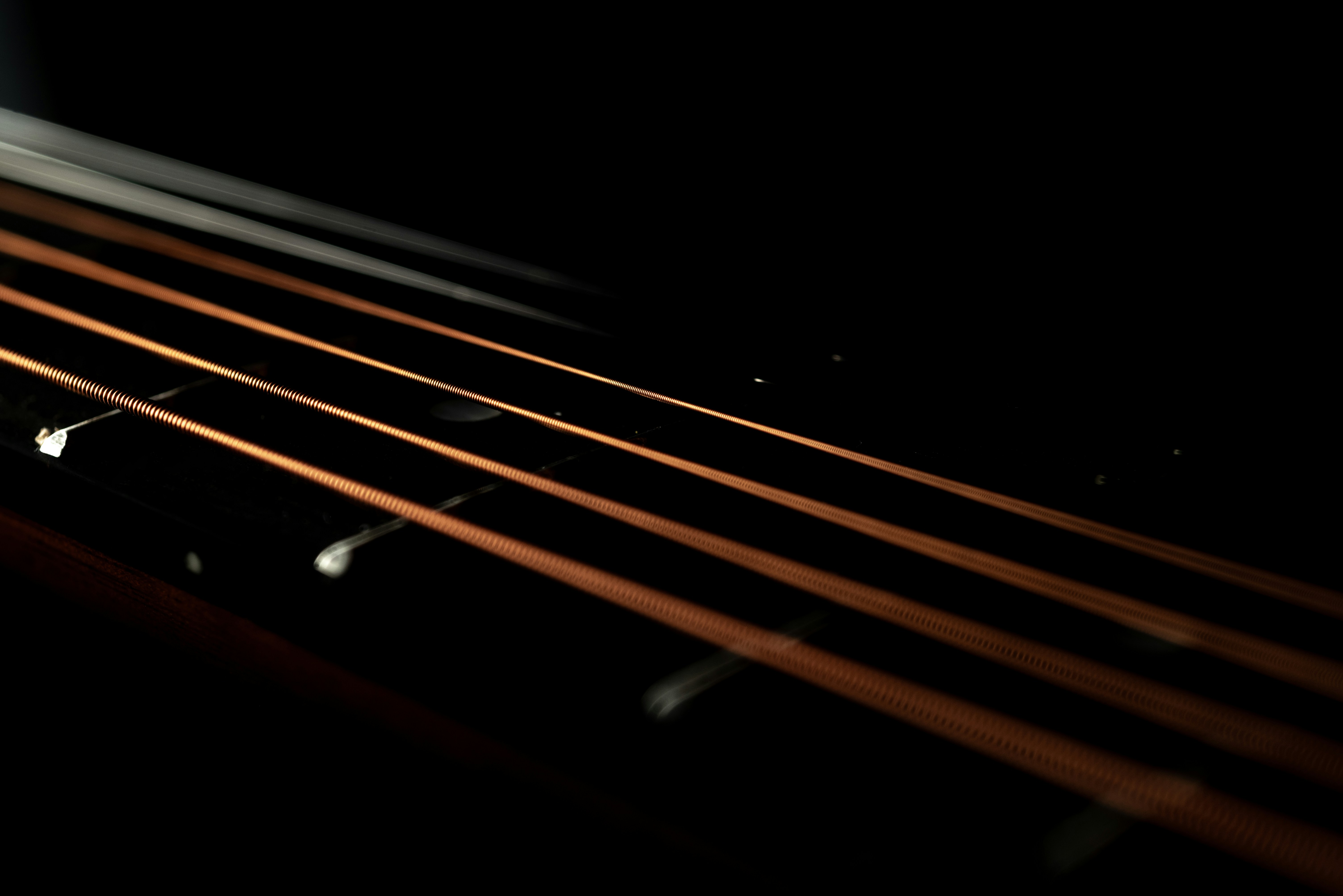 Photo by andrilliardbond