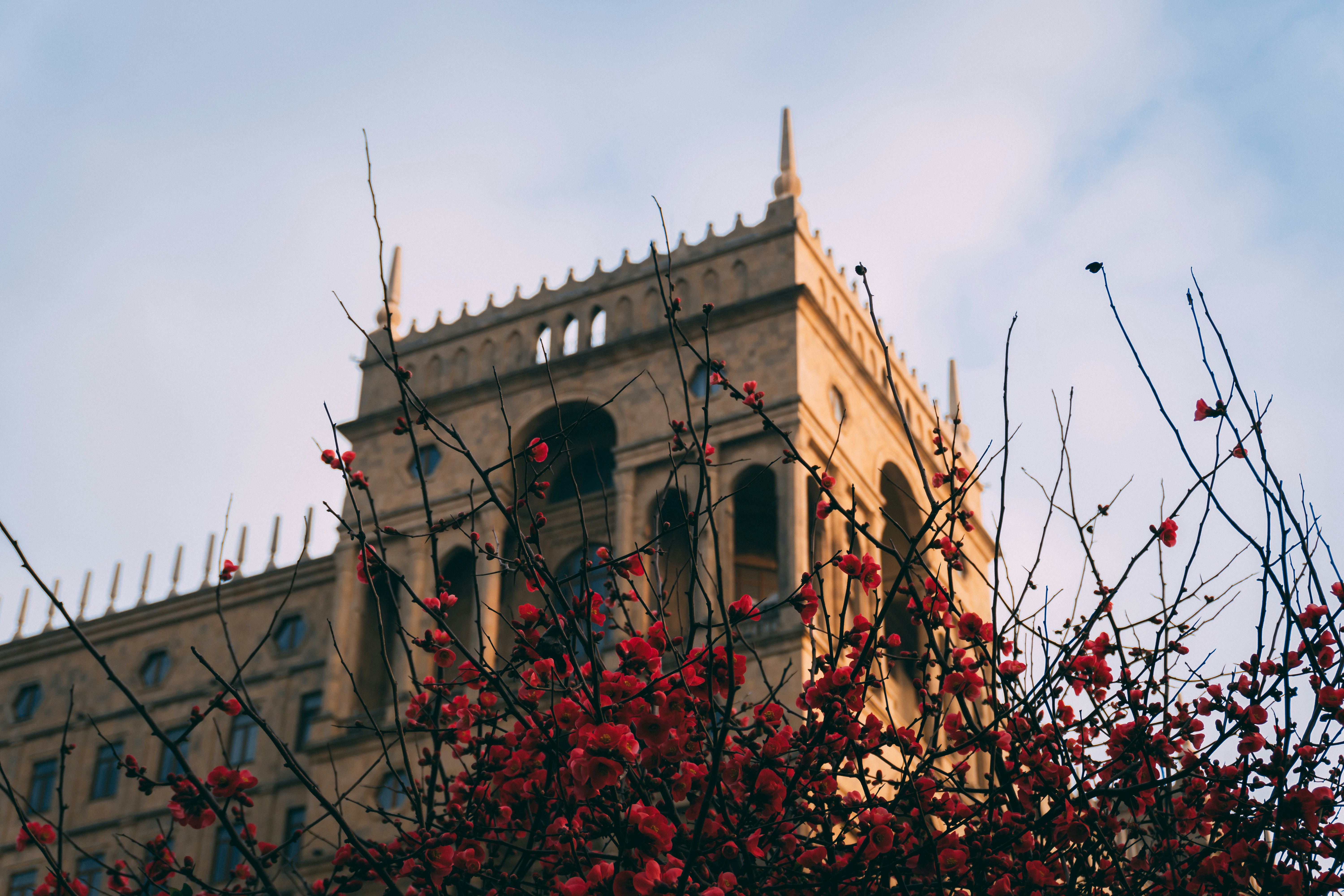 Photo by zulfugarkarimov
