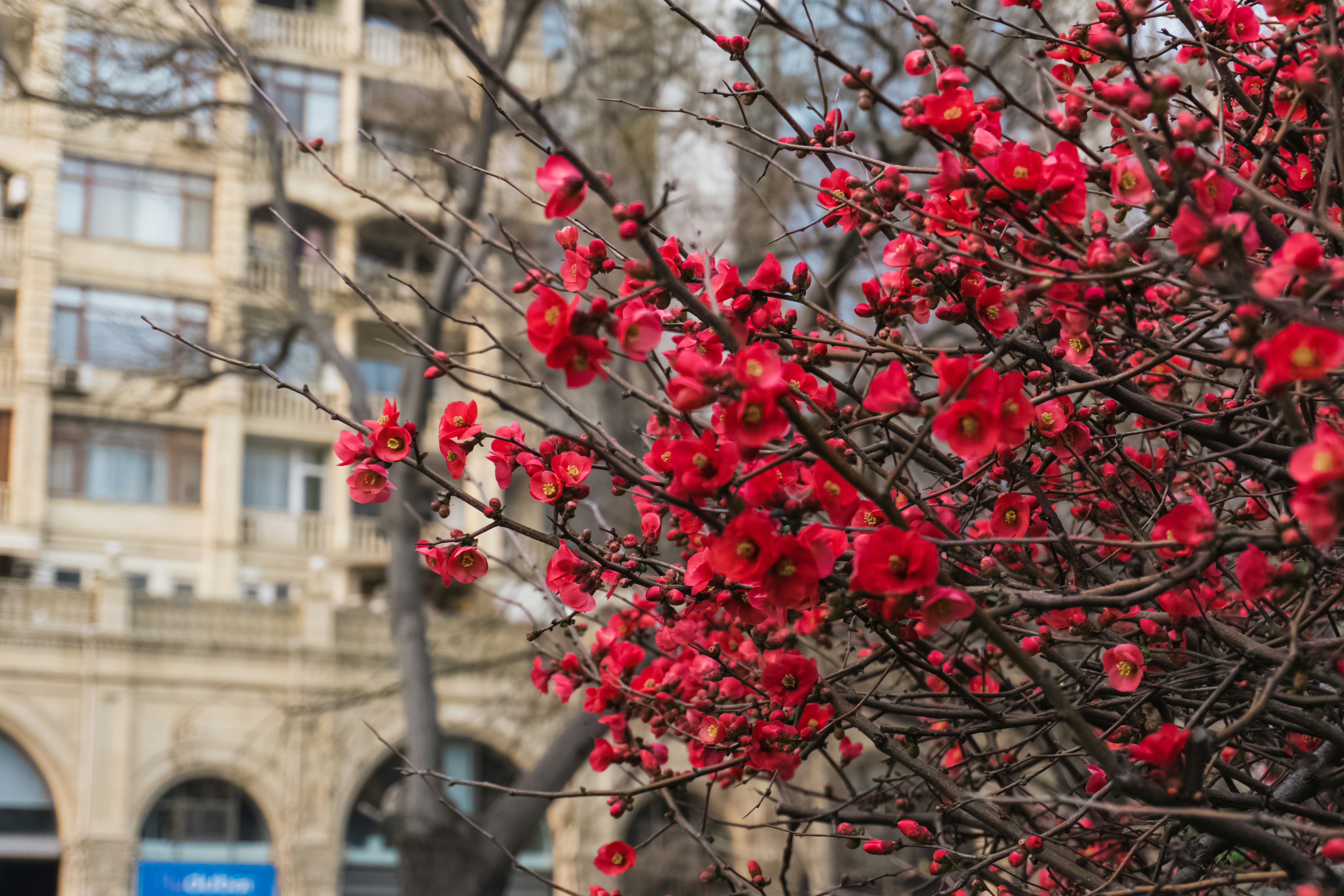 Photo by zulfugarkarimov